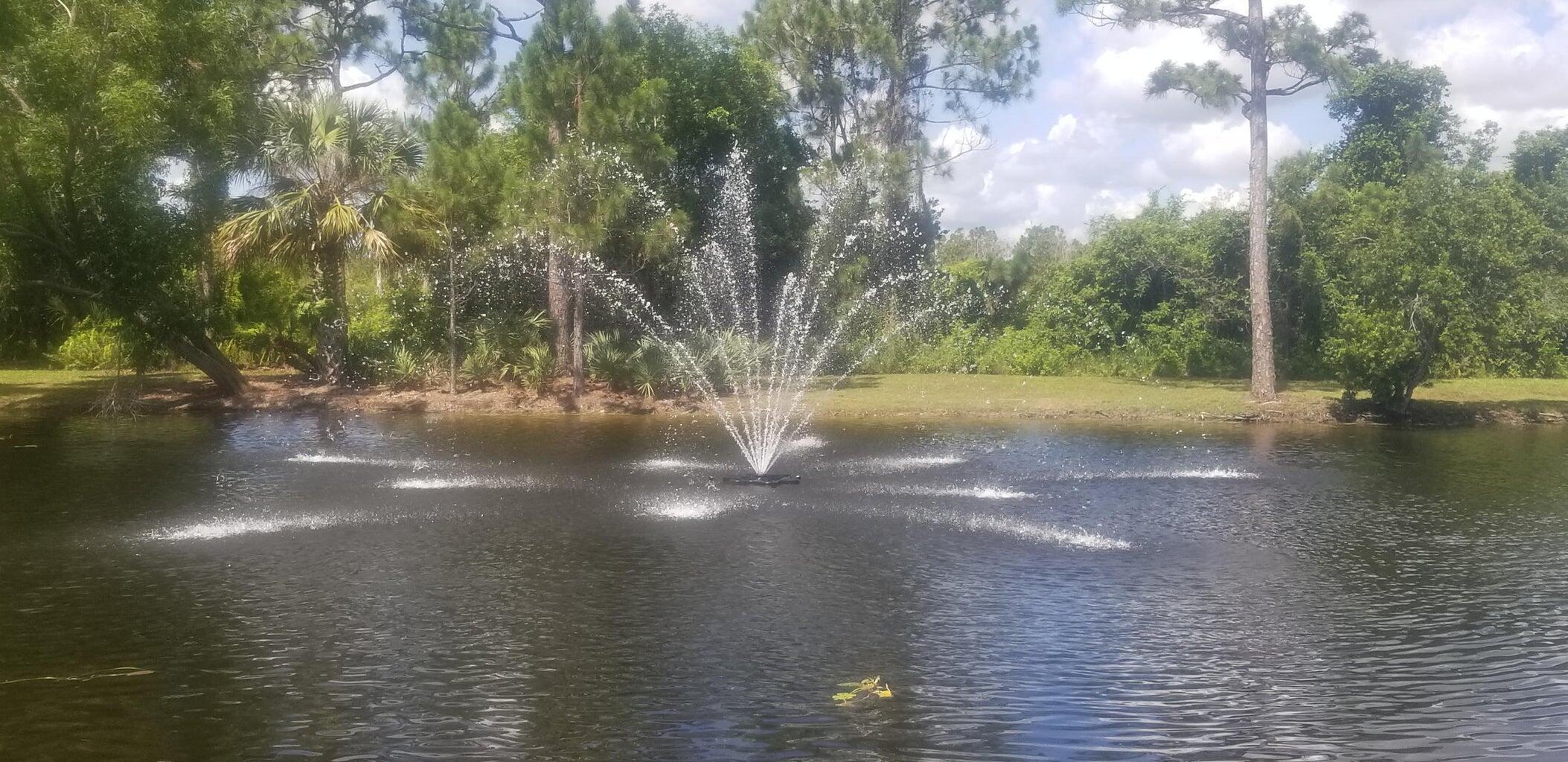 main property photo 59