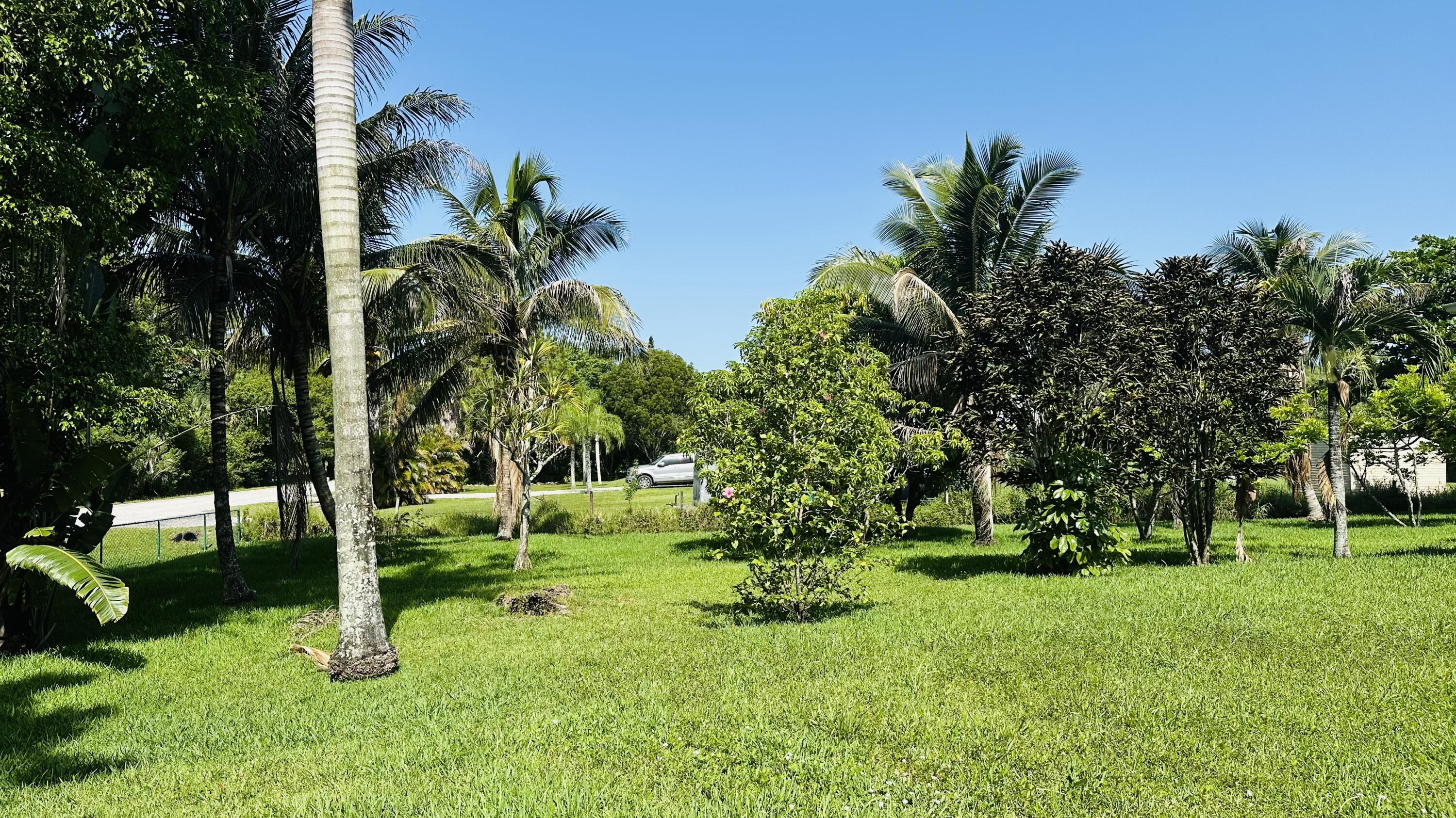 main property photo 44