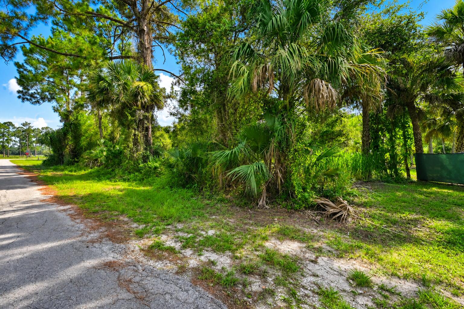 main property photo 19