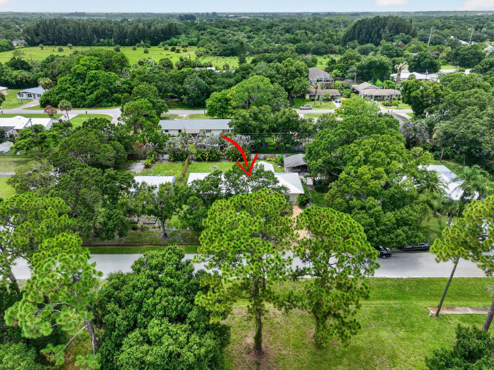 main property photo 64