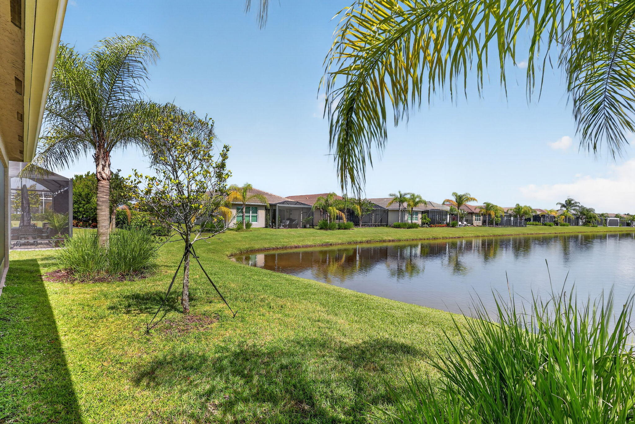 main property photo 53