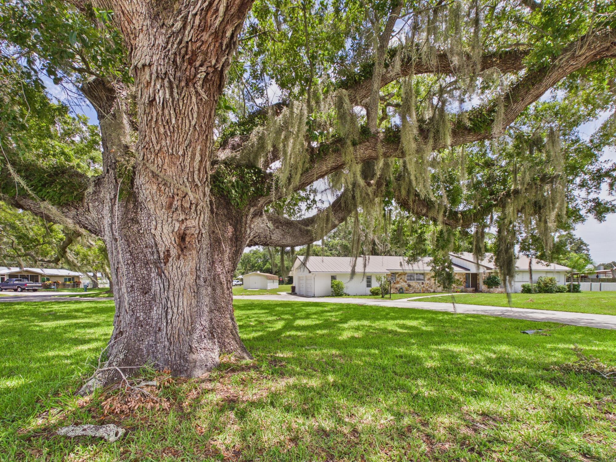 main property photo 58