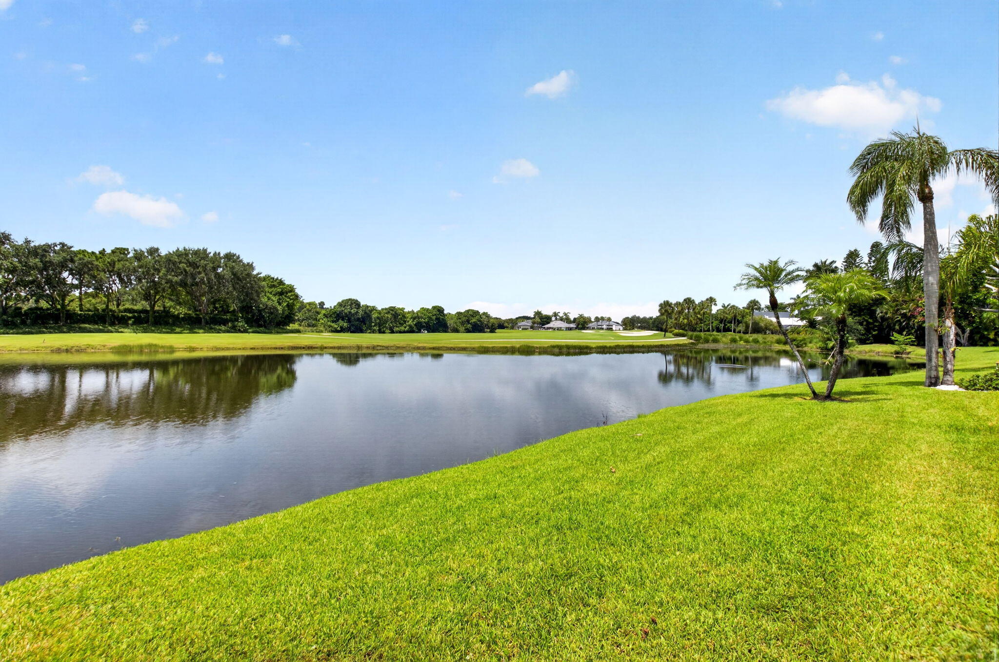 main property photo 61