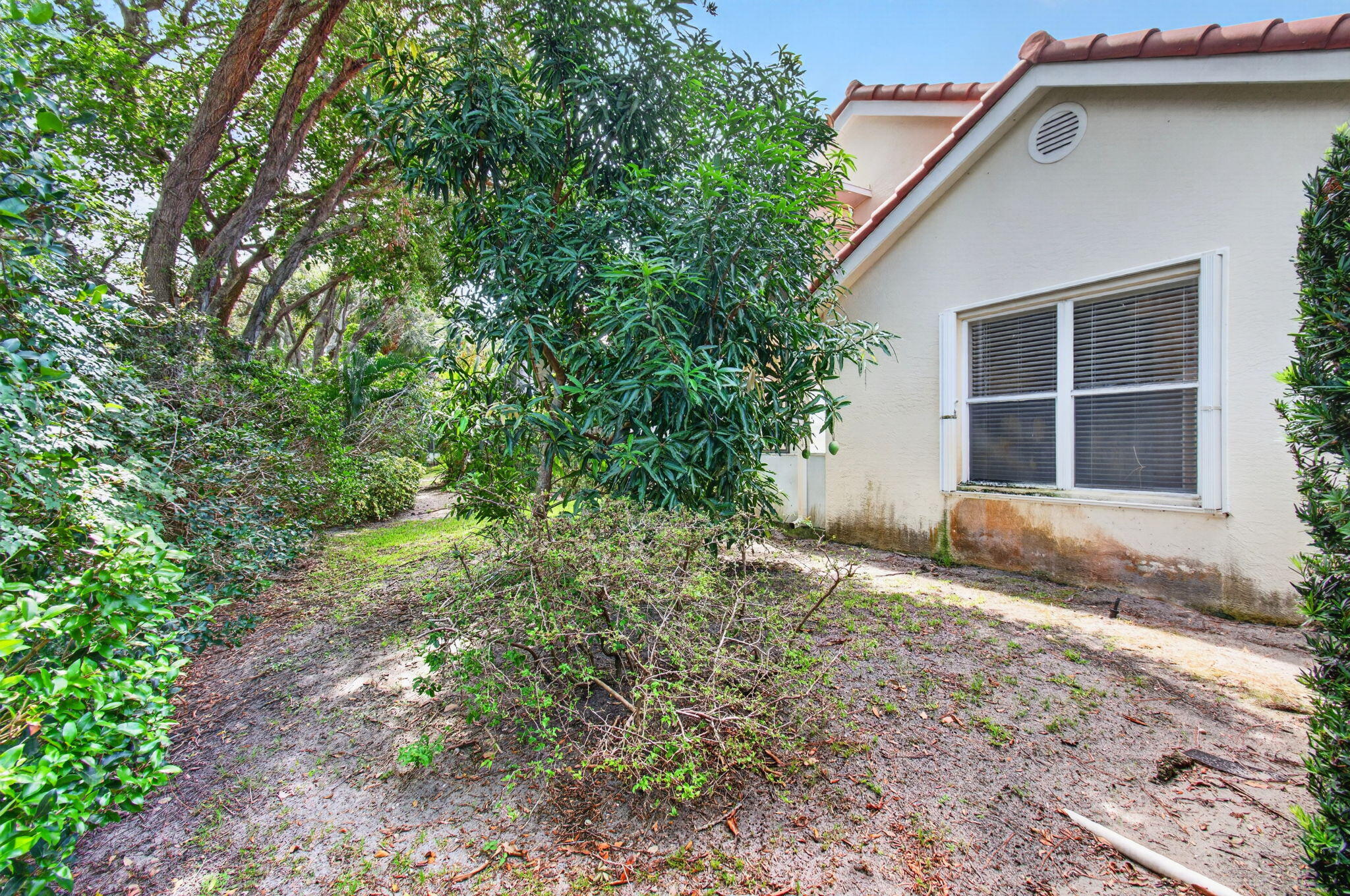 main property photo 80