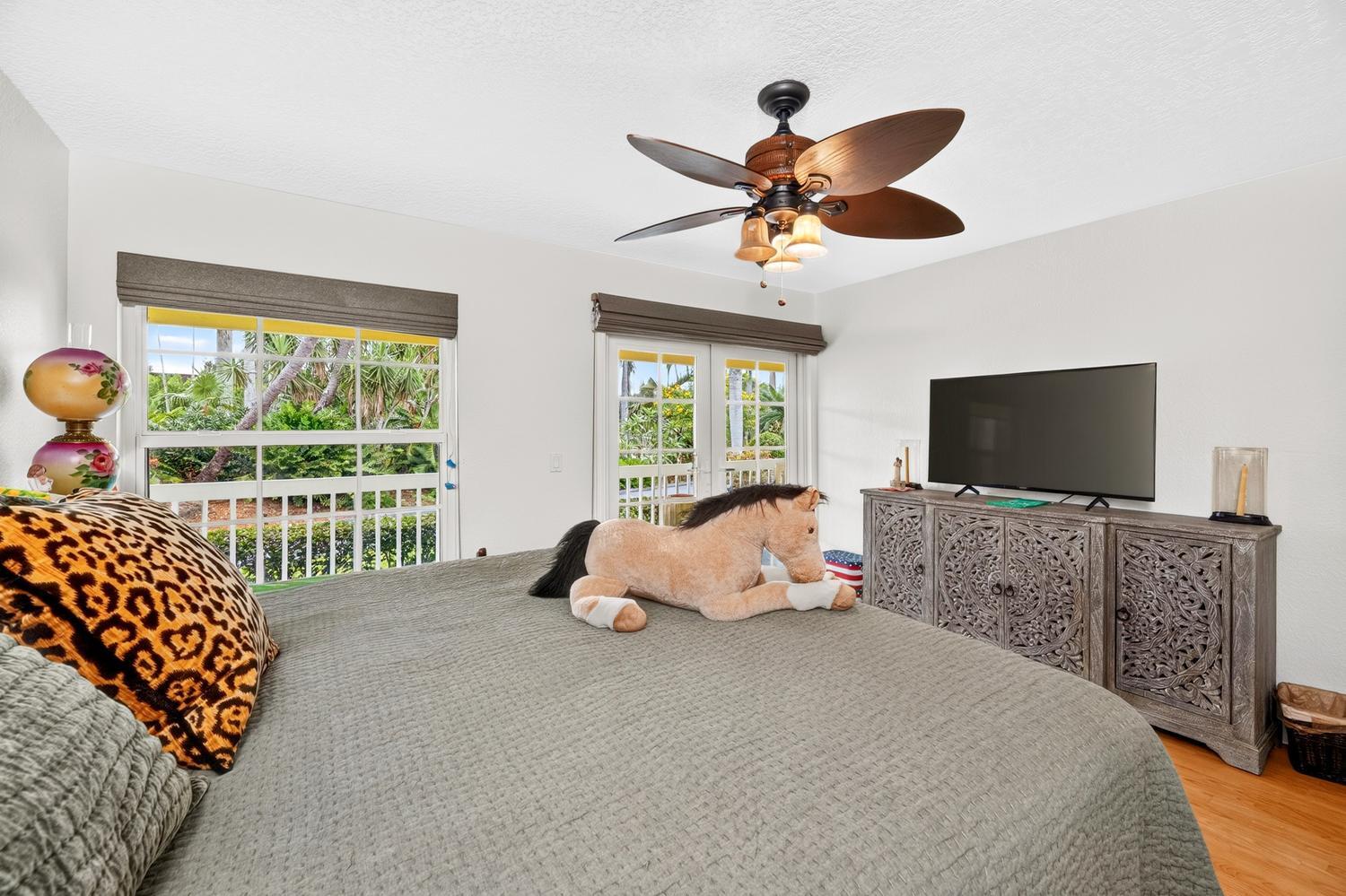 main property photo 58