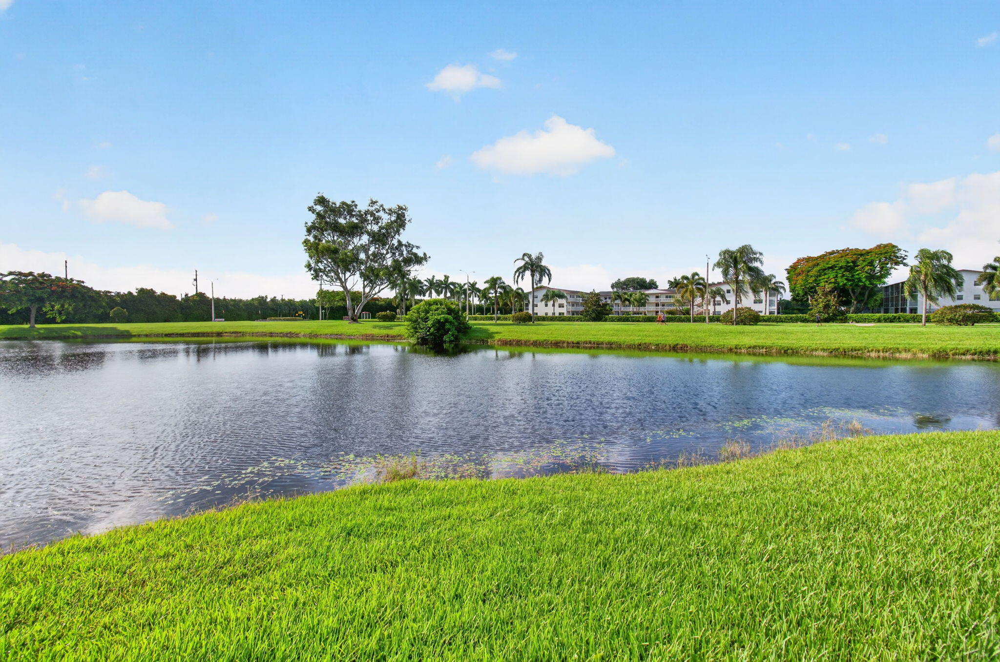 main property photo 65