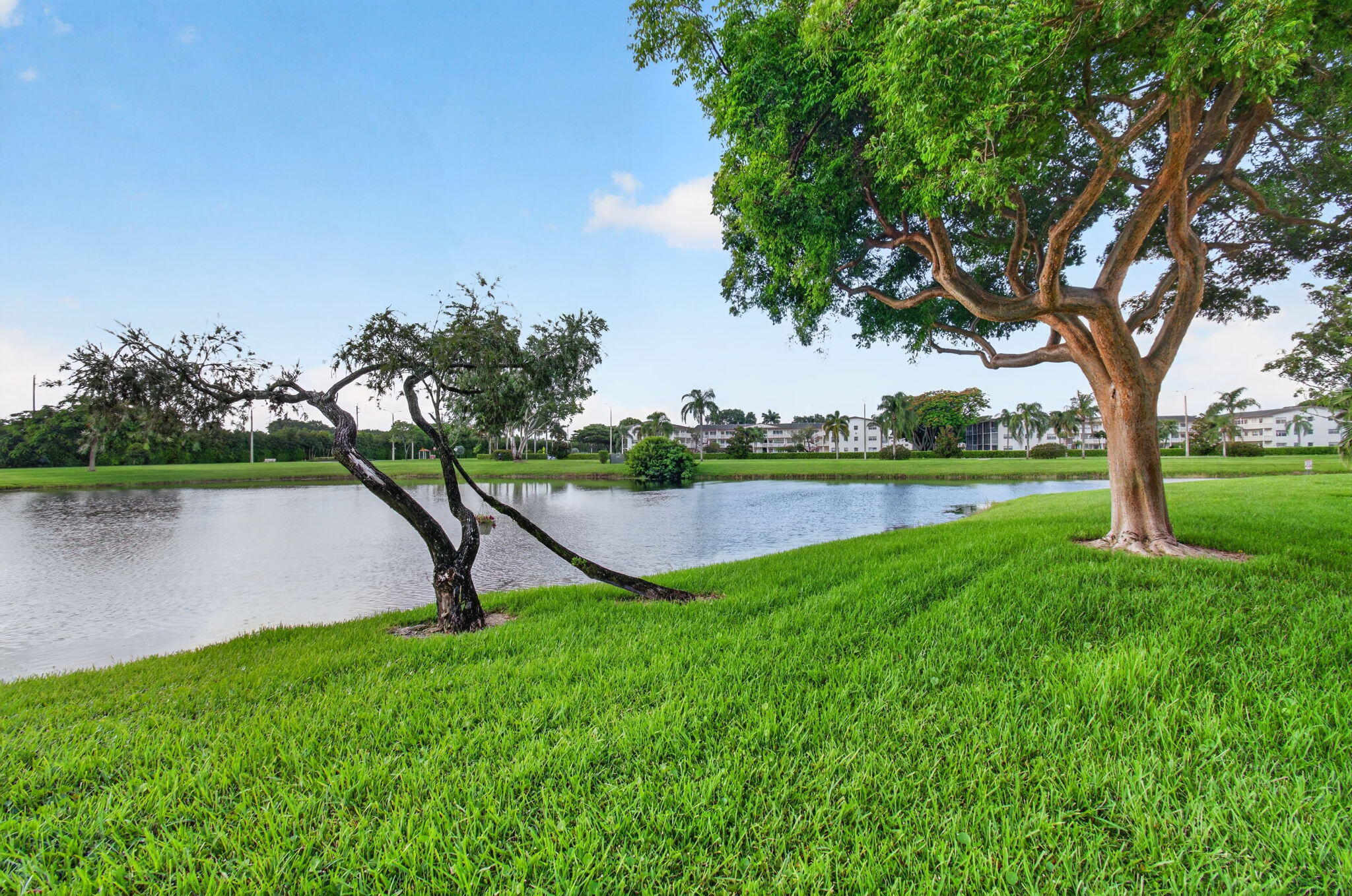 main property photo 66