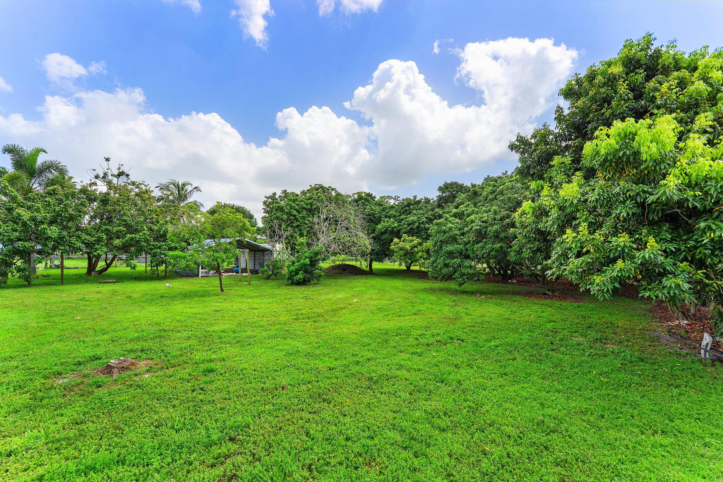 main property photo 39