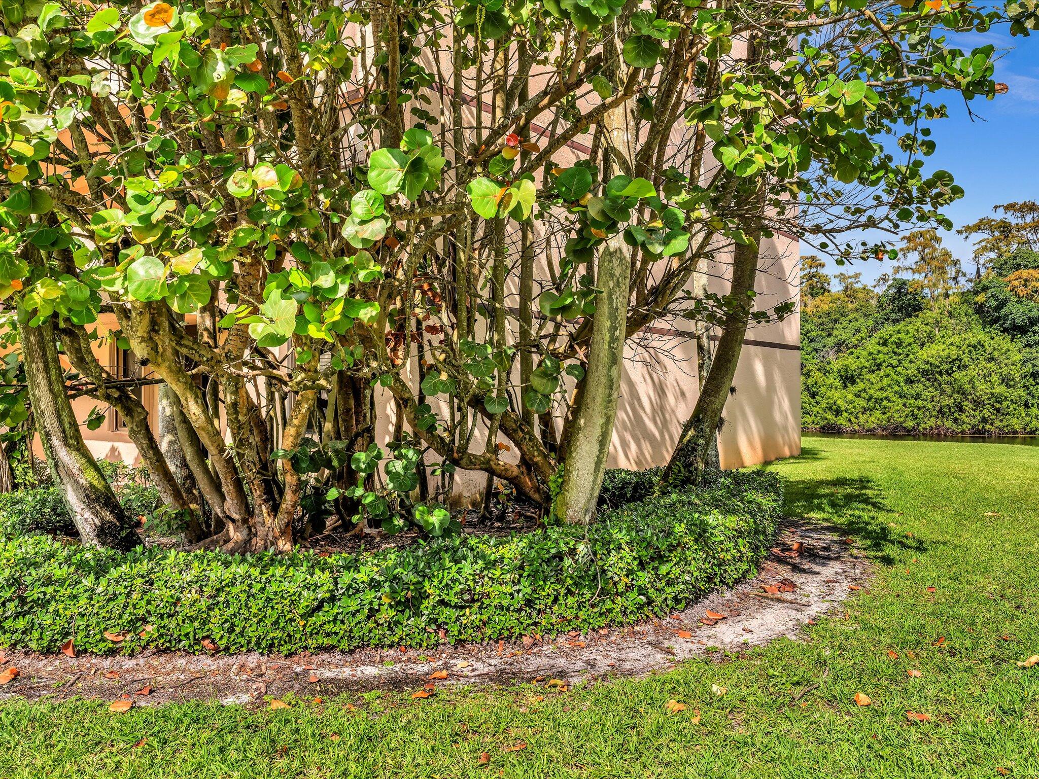 main property photo 67