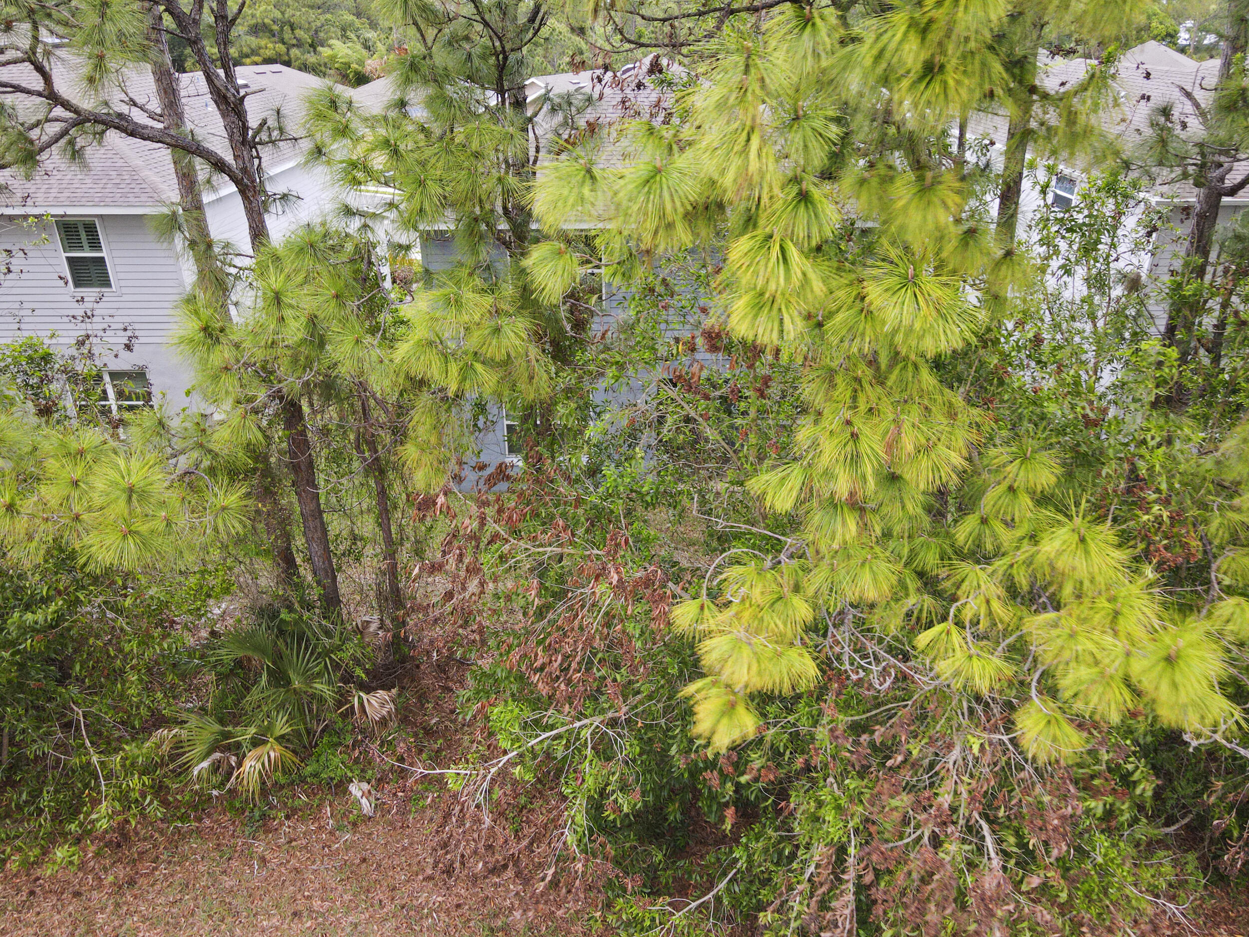 main property photo 67