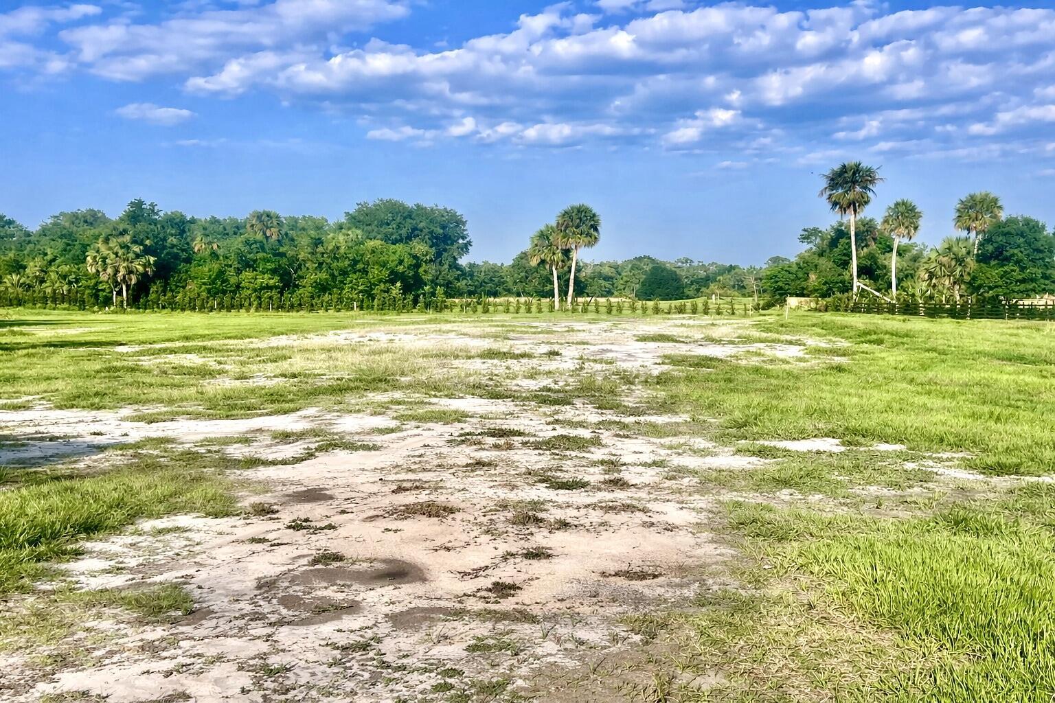 main property photo 11
