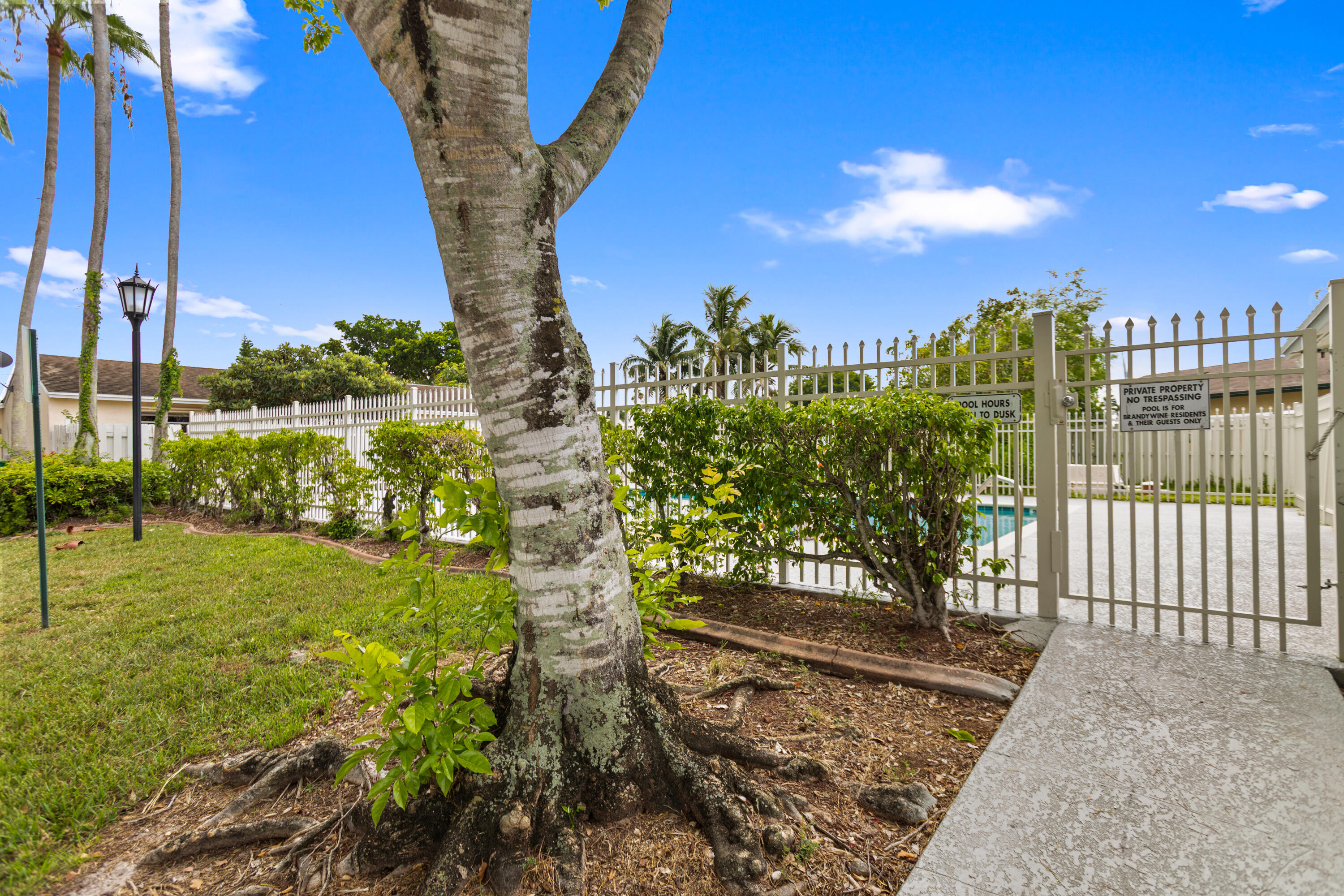 main property photo 54
