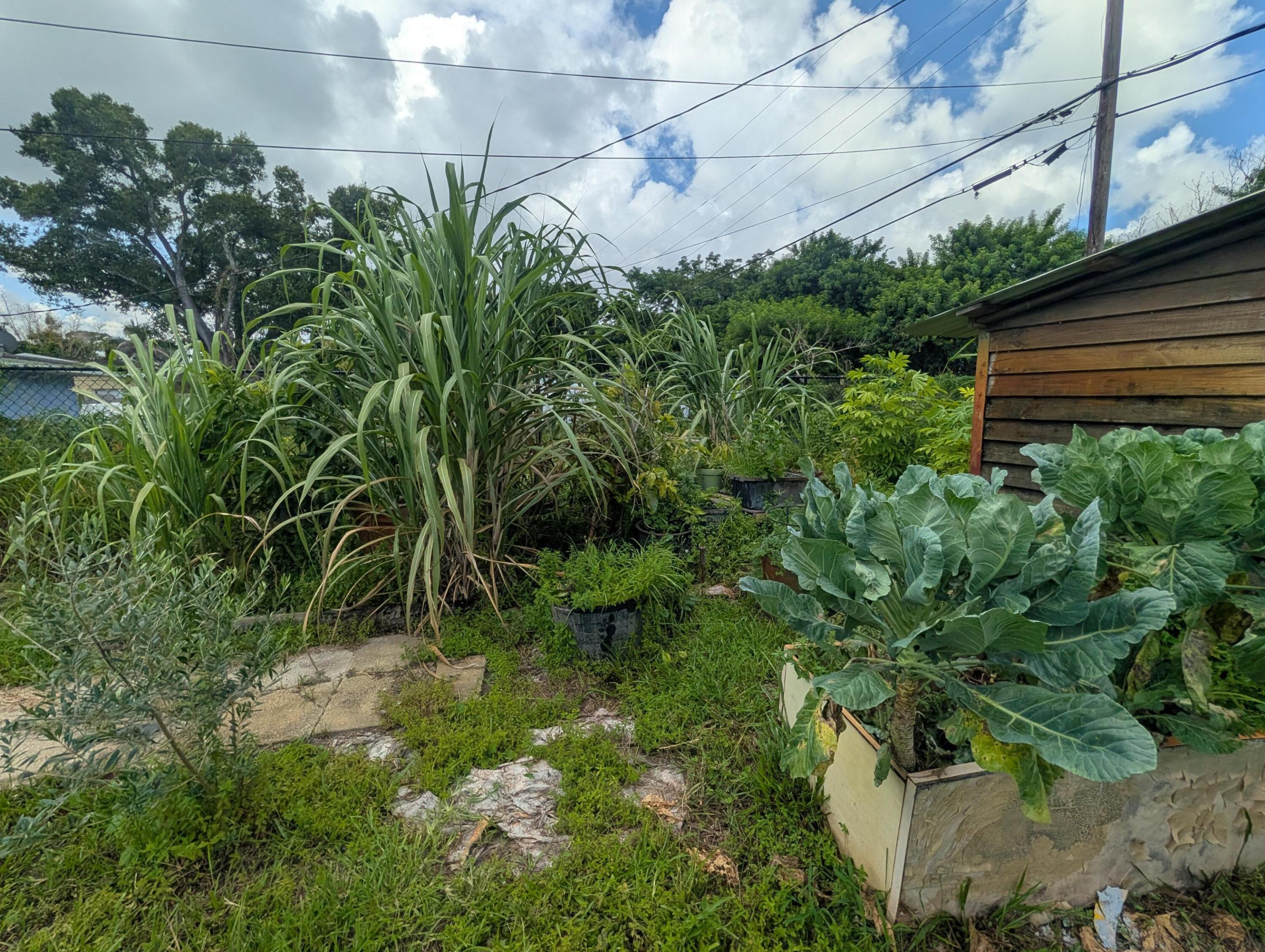 main property photo 38