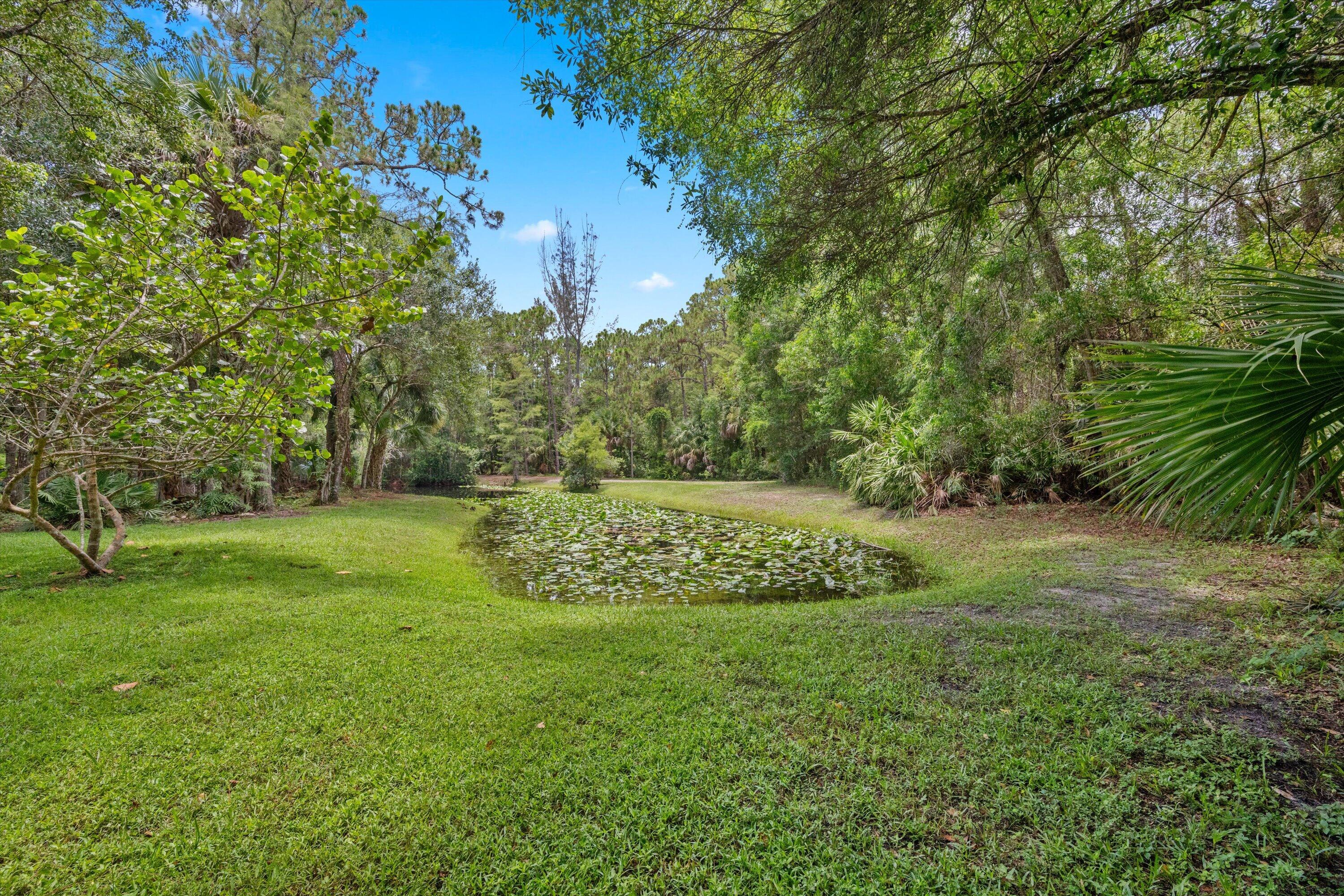 main property photo 54