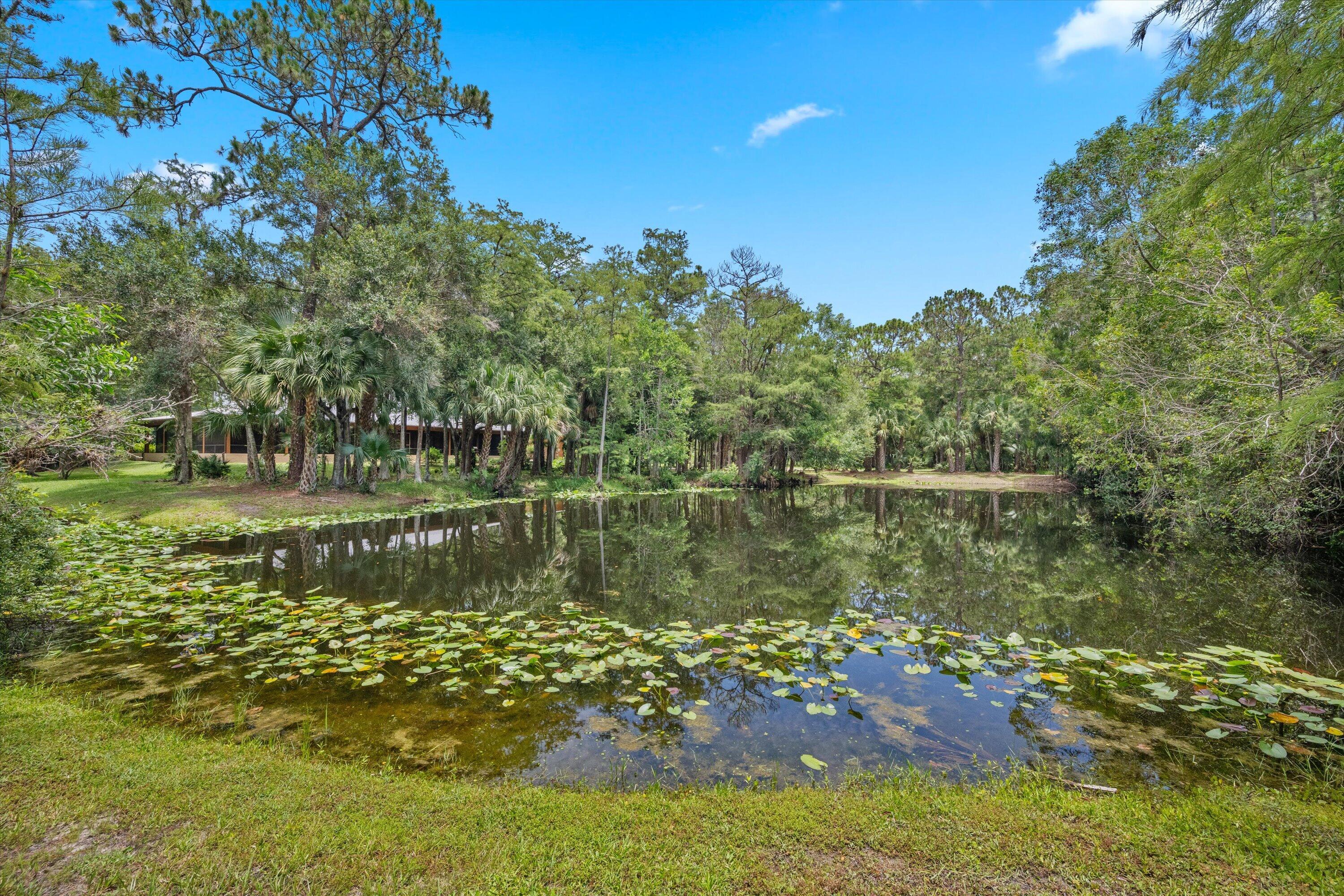 main property photo 58