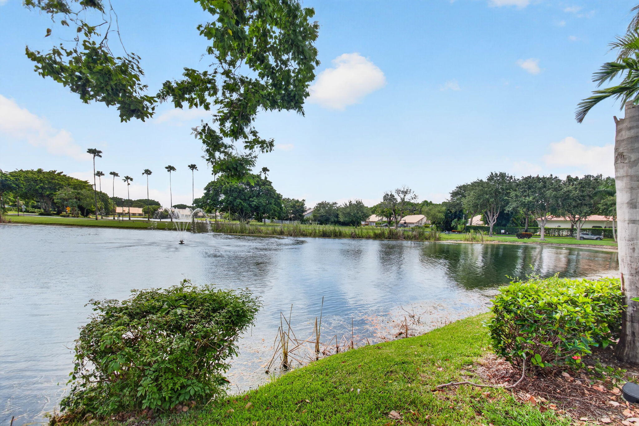 main property photo 64