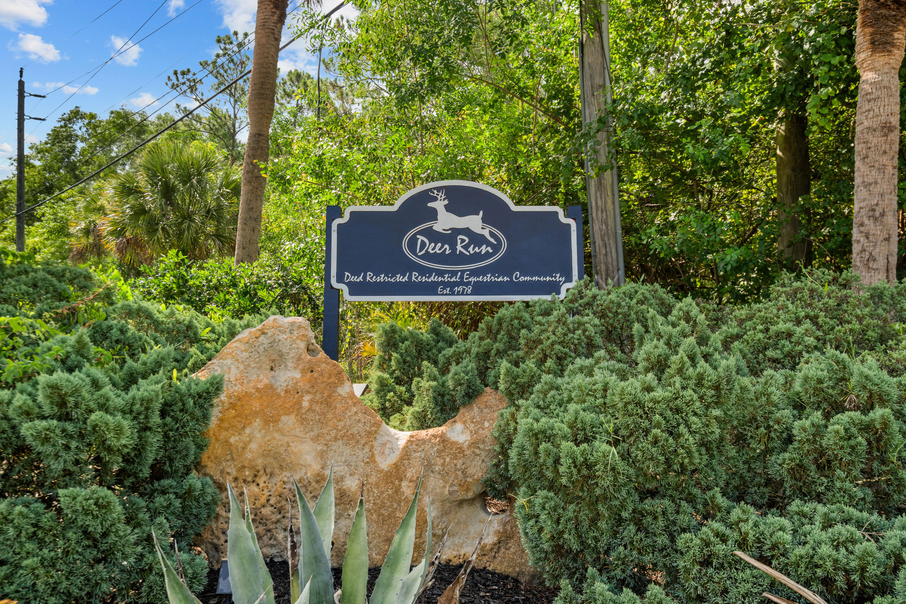 main property photo 62