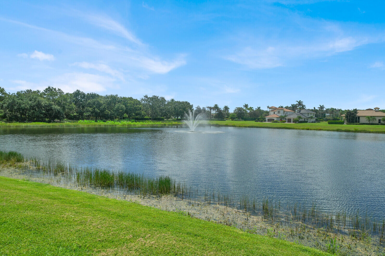 main property photo 66