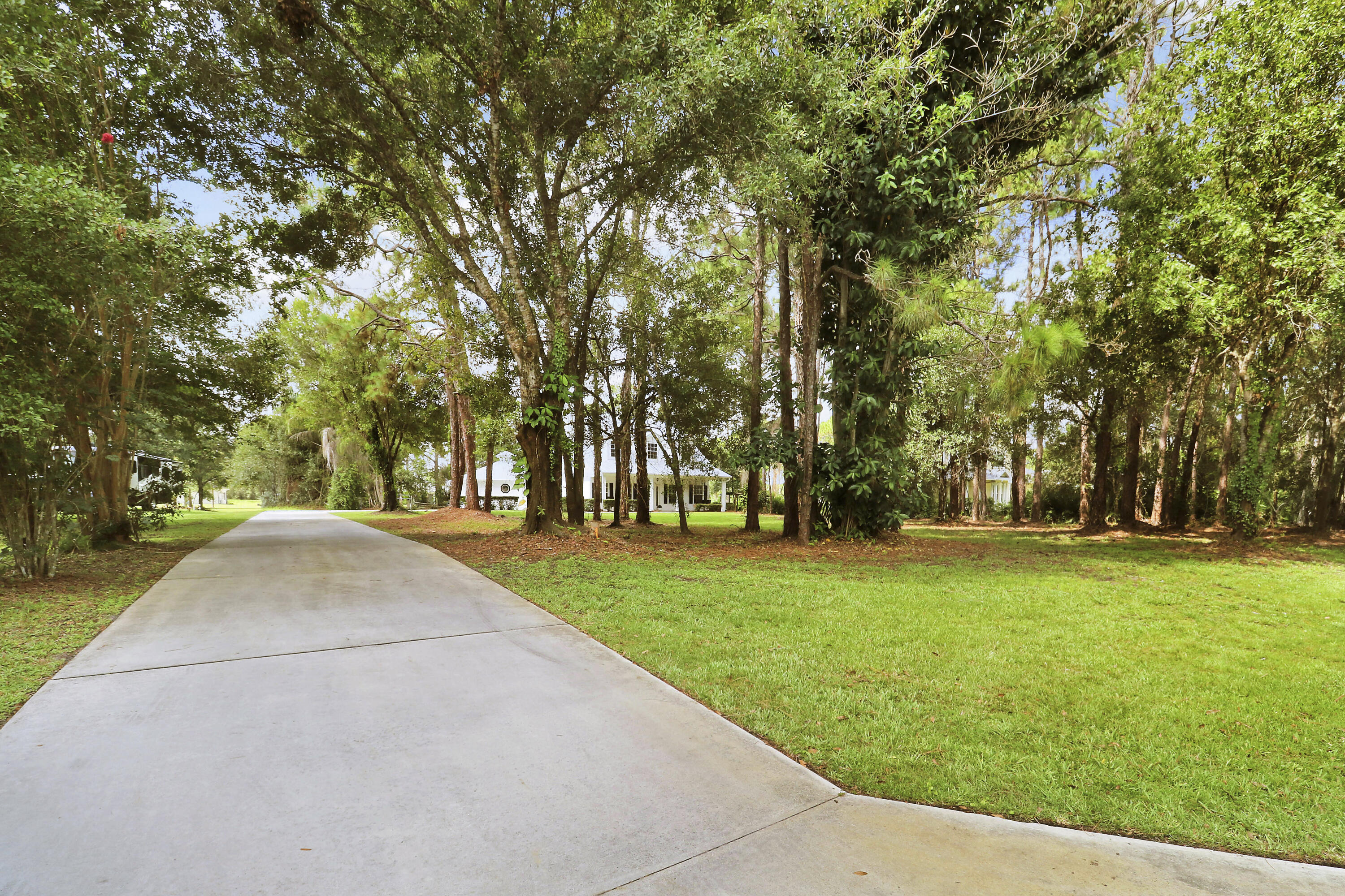 main property photo 46