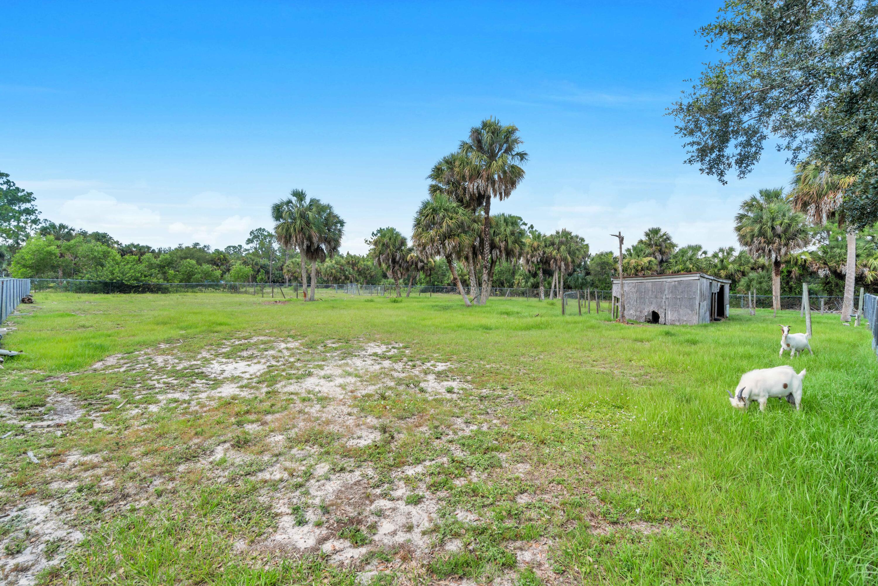 main property photo 40
