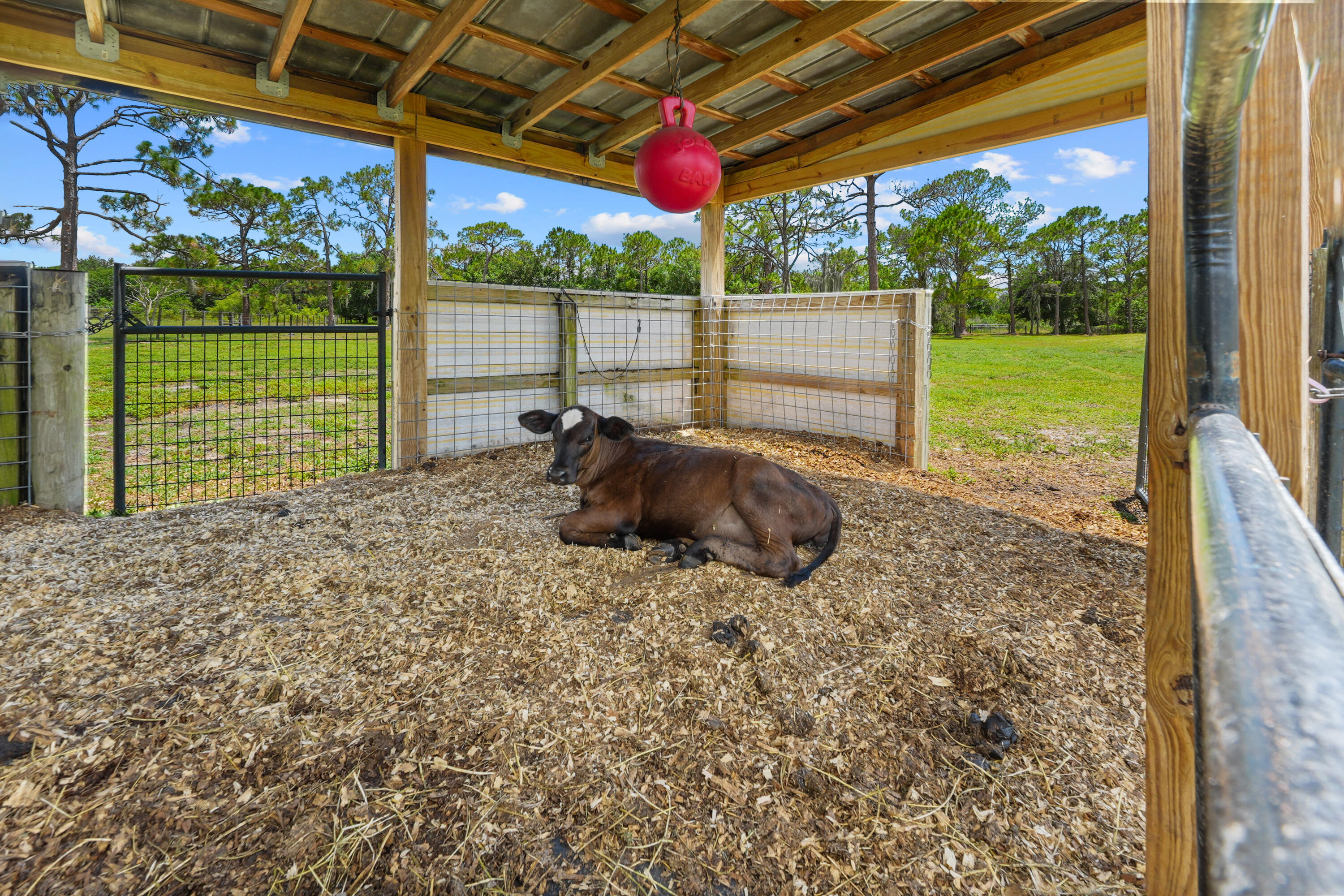 main property photo 63