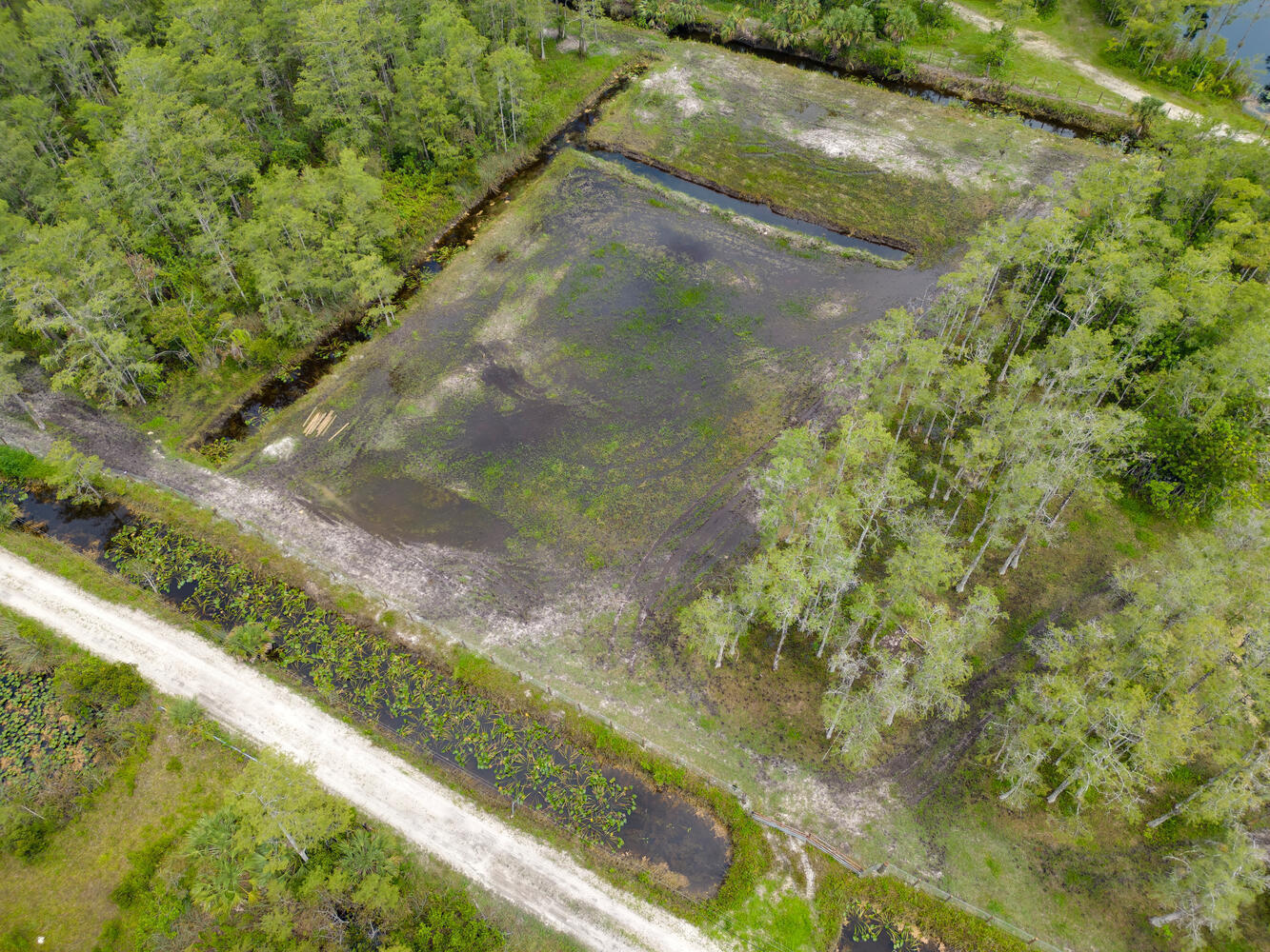 main property photo 10