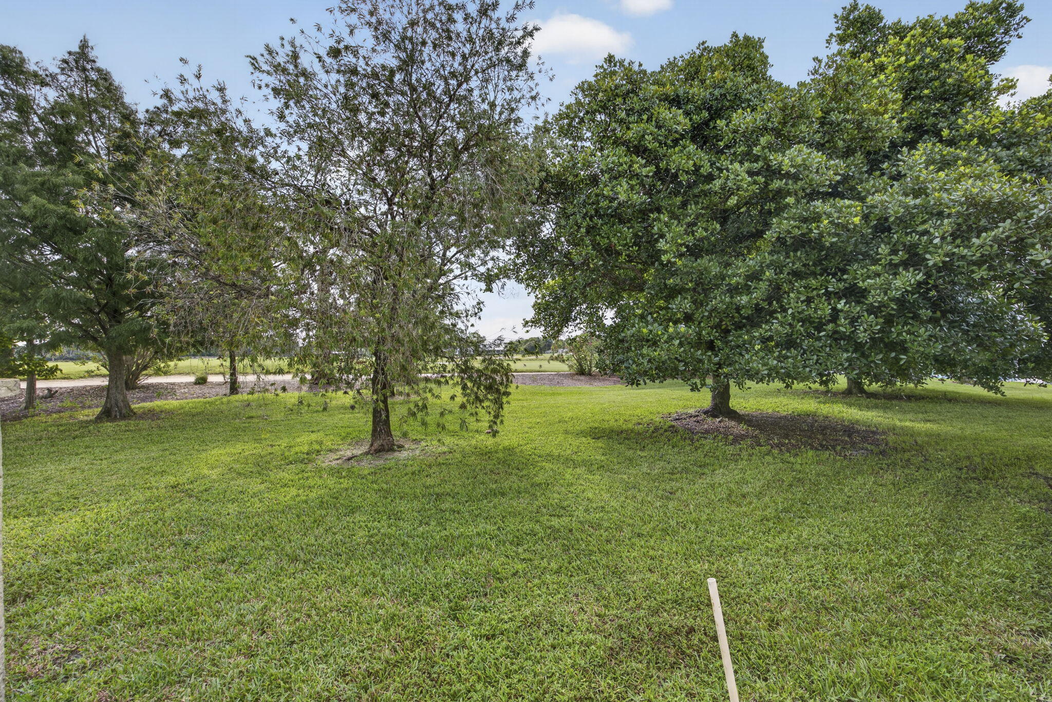 main property photo 48