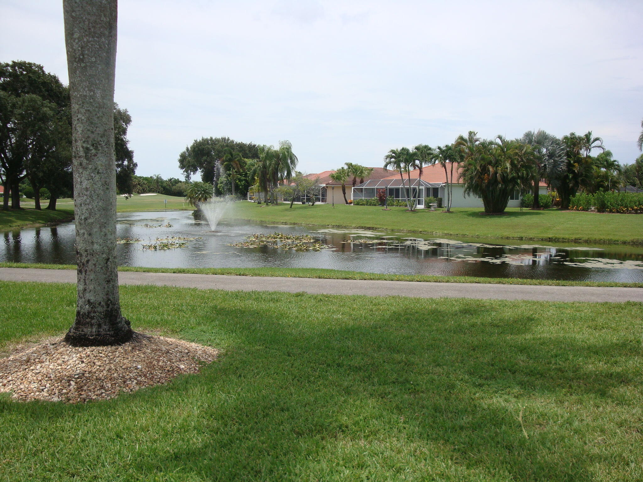 main property photo 57