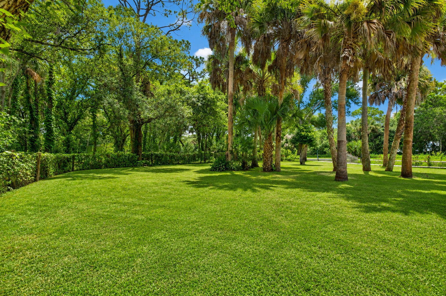 main property photo 48