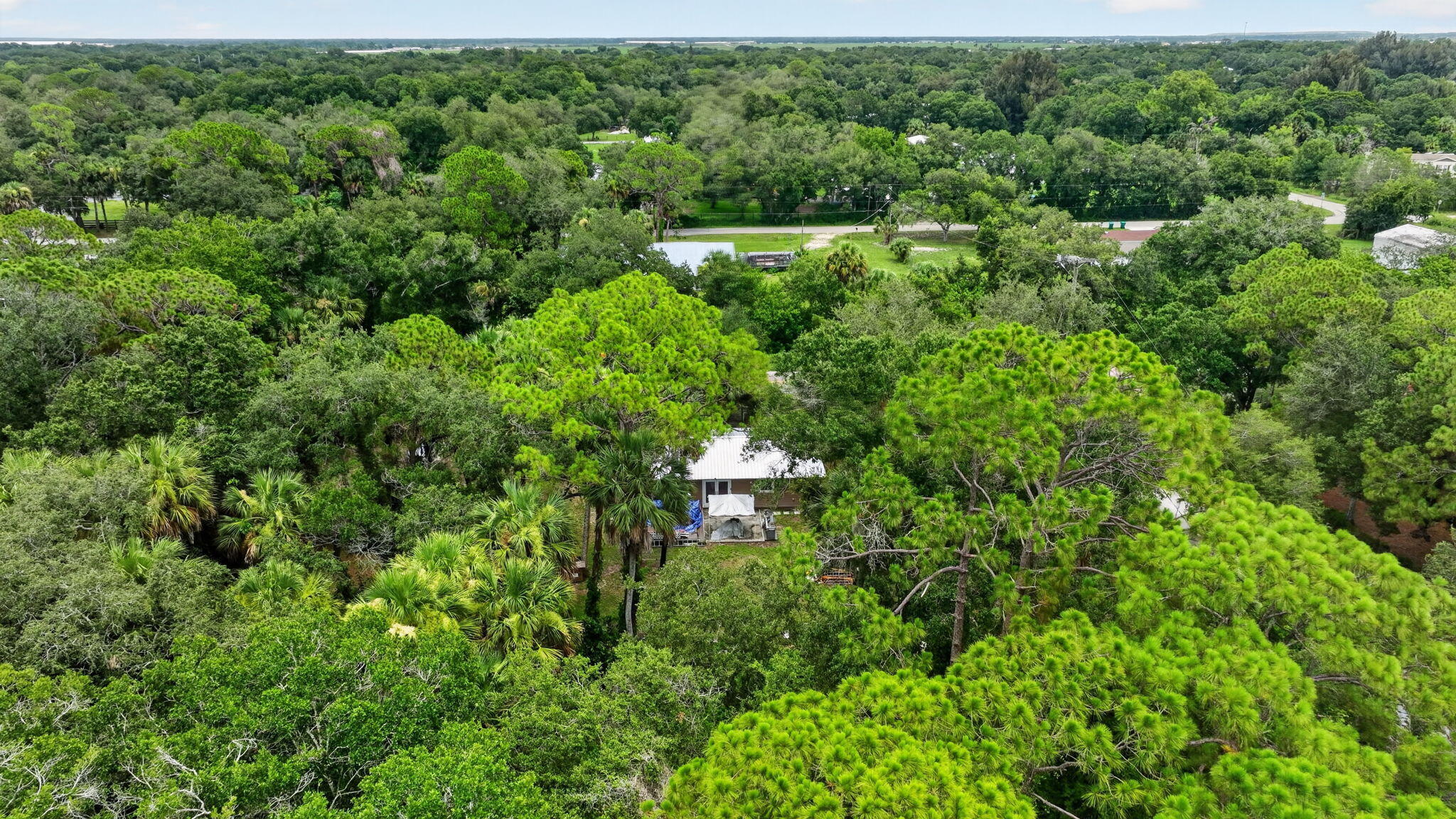 main property photo 76