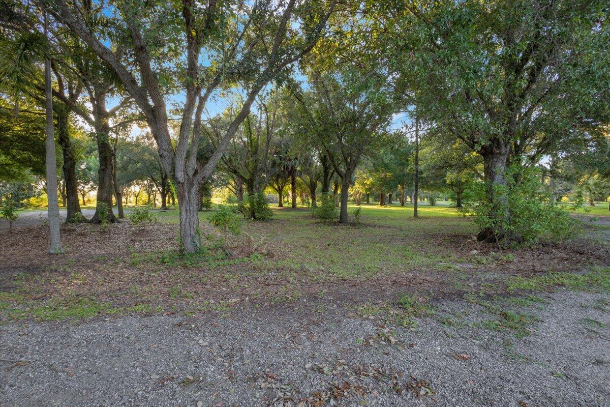 main property photo 88