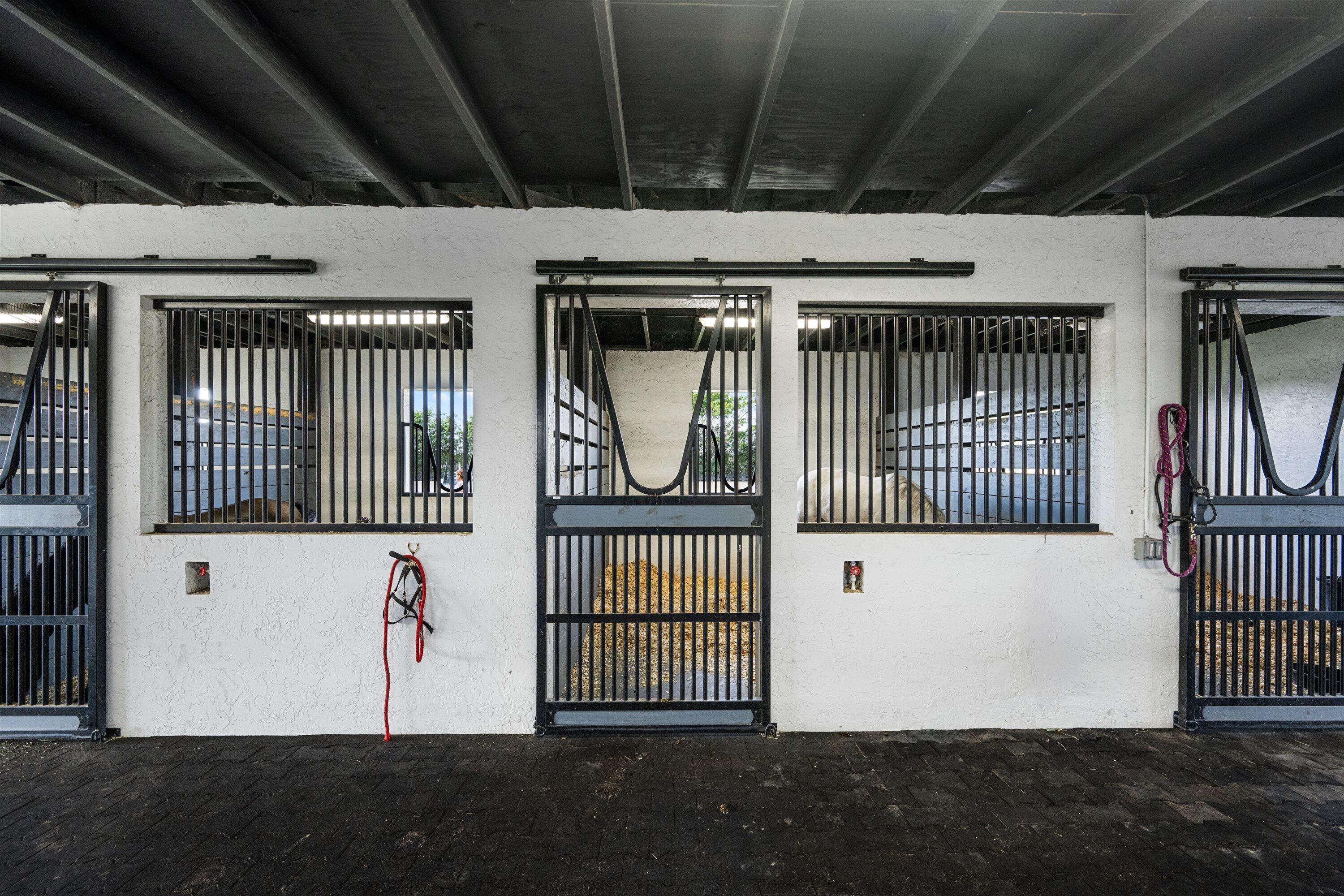 main property photo 64