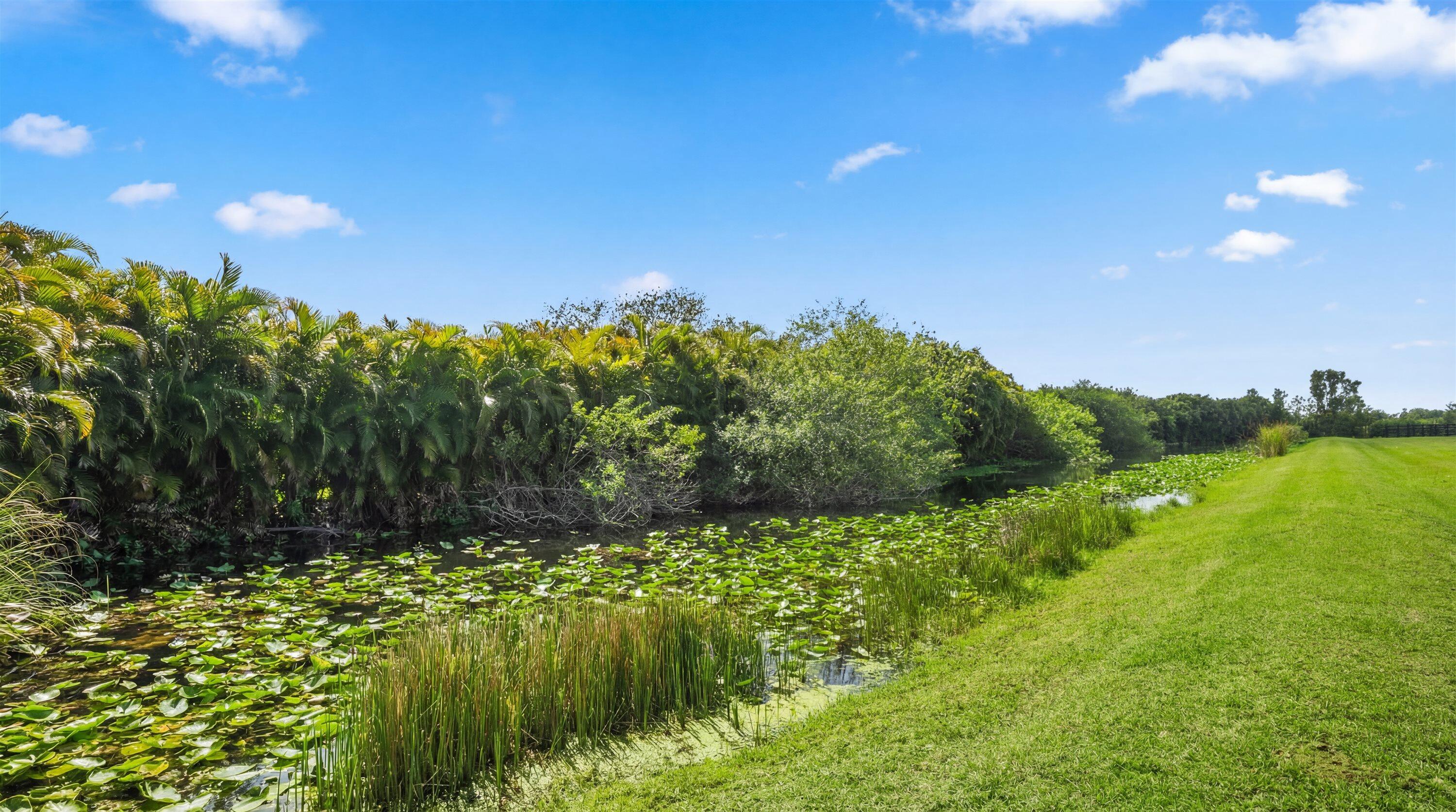 main property photo 75