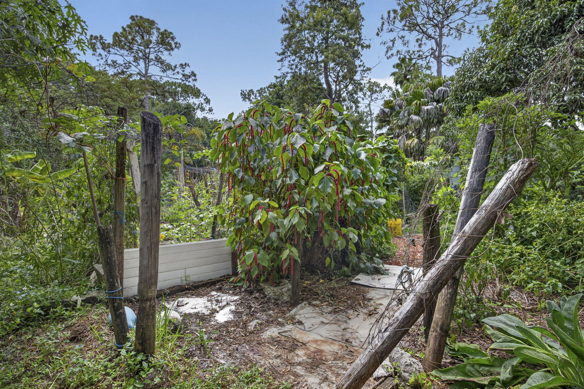 main property photo 38