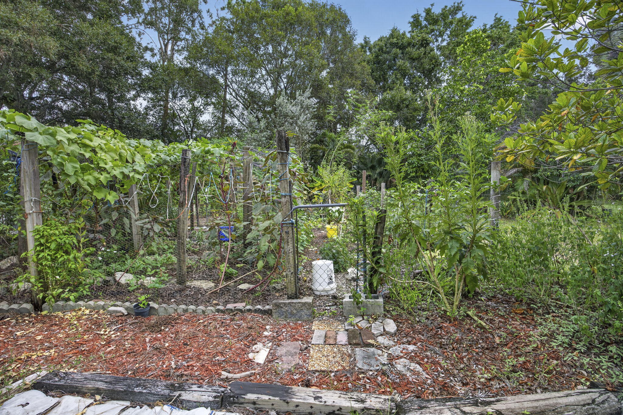 main property photo 41
