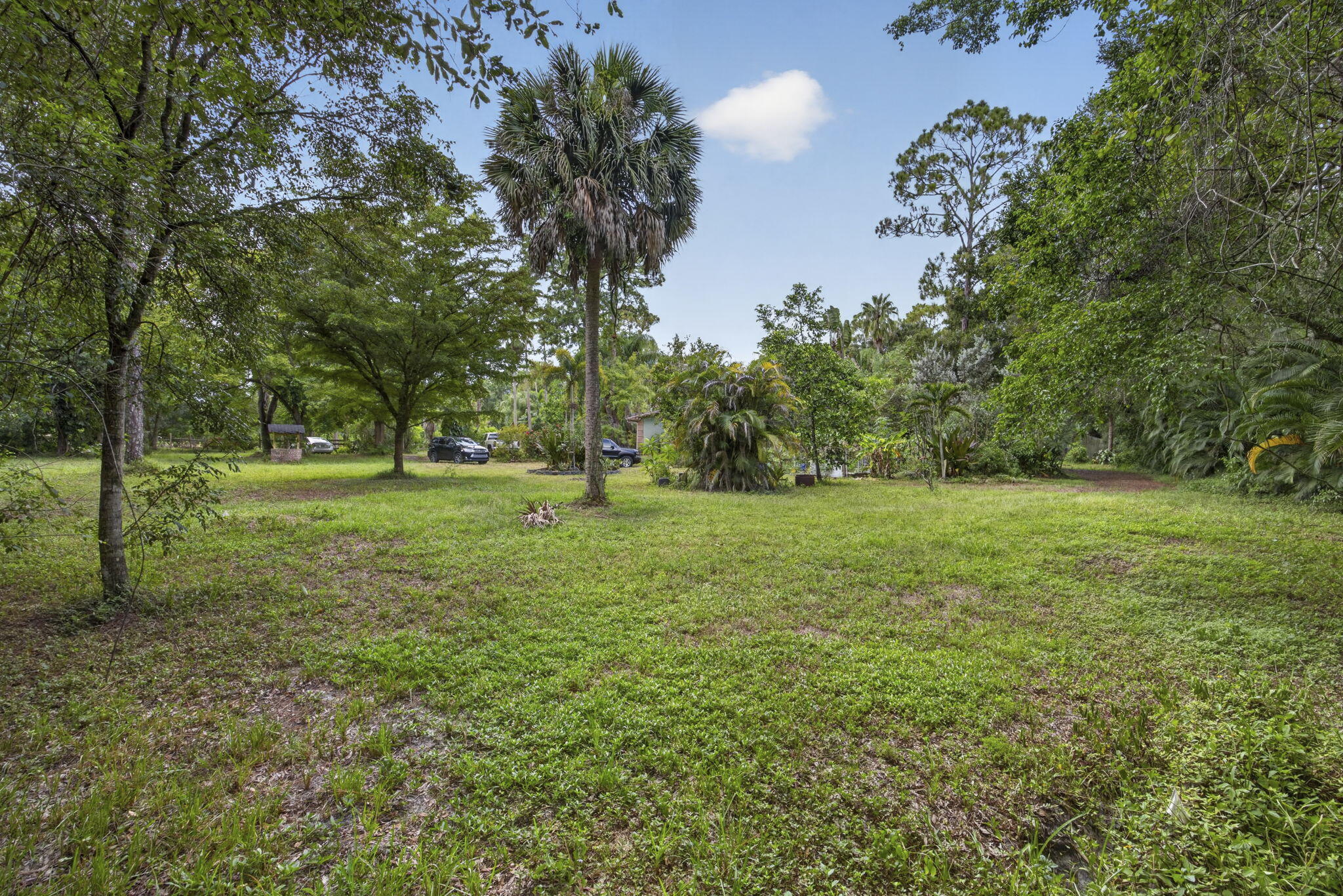 main property photo 48