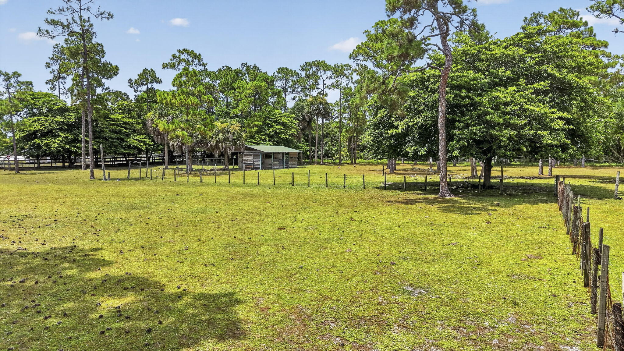 main property photo 55