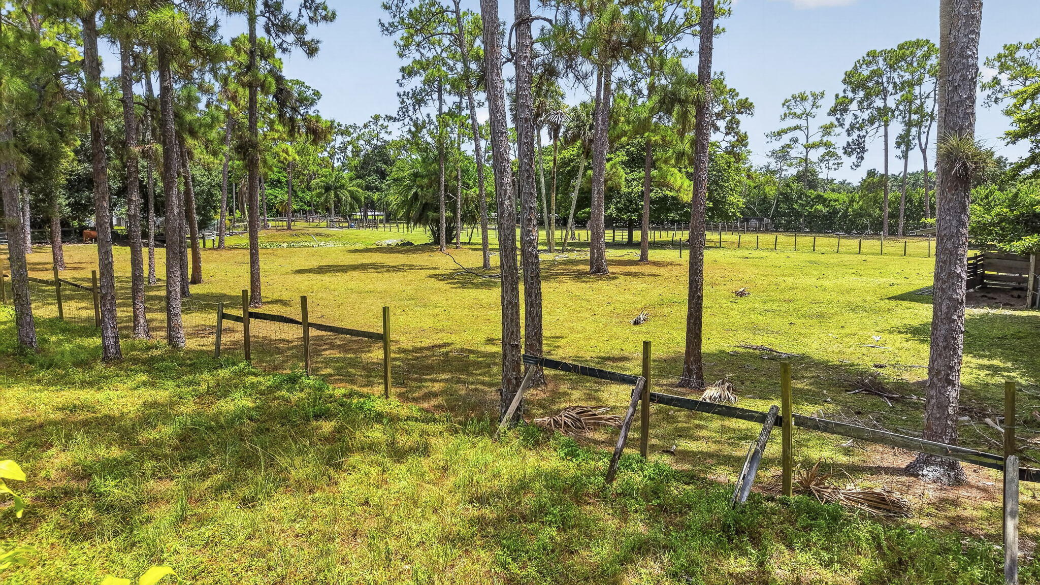 main property photo 60