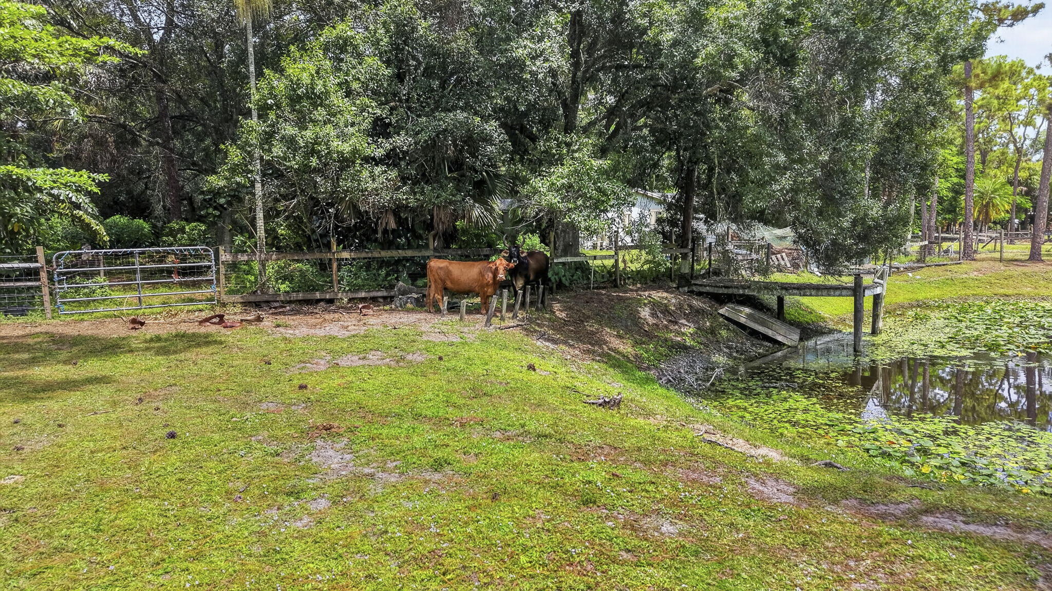 main property photo 61