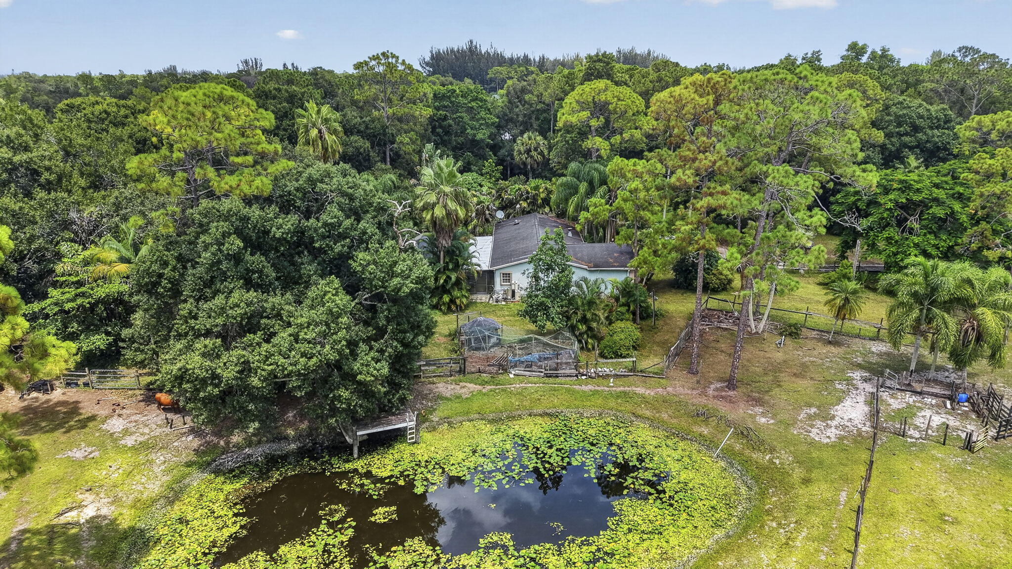 main property photo 65