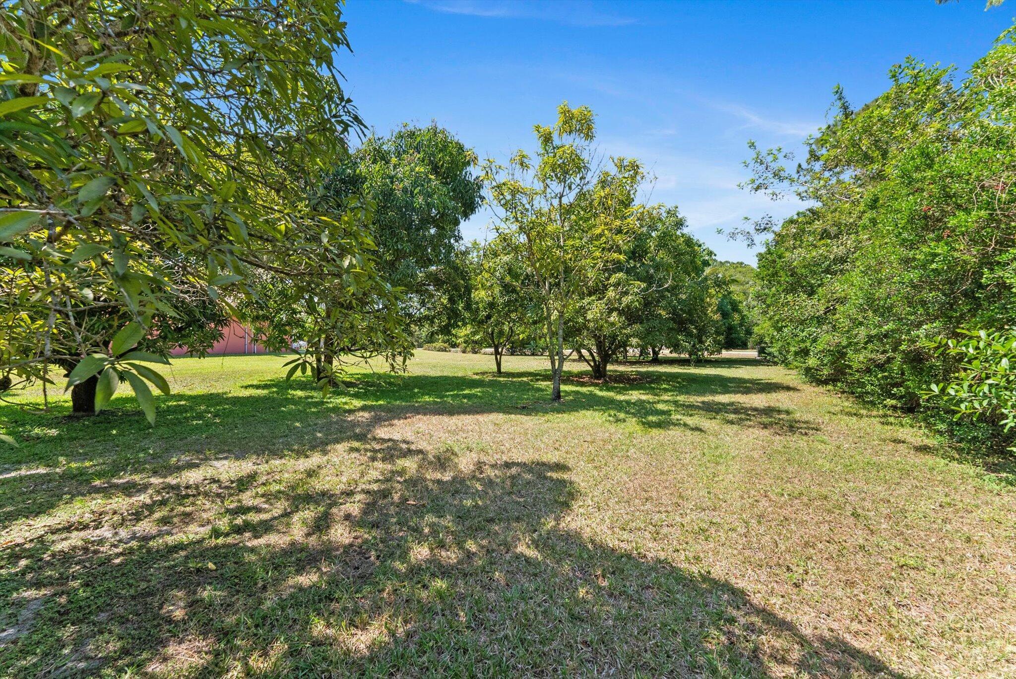 main property photo 30
