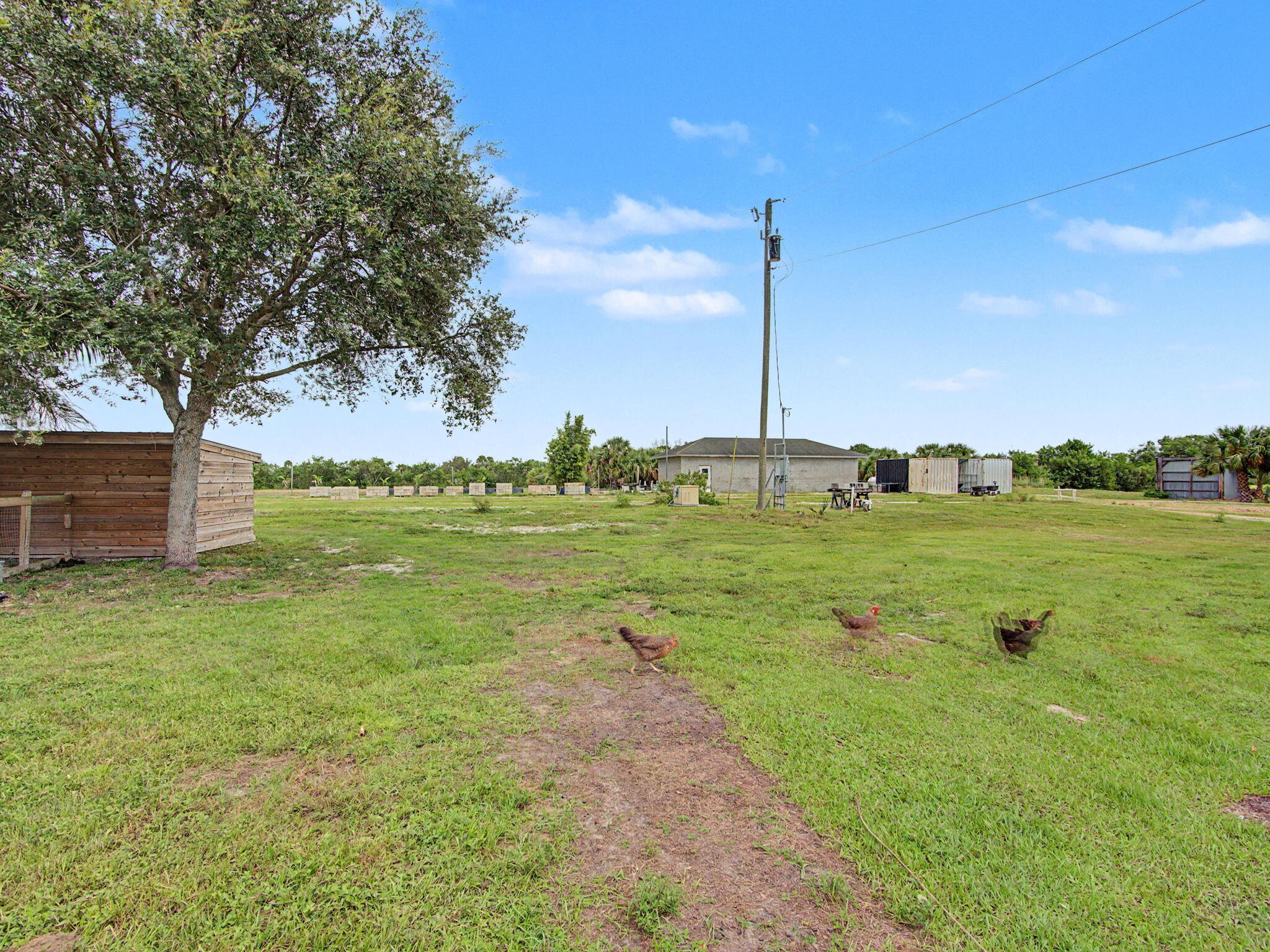main property photo 47