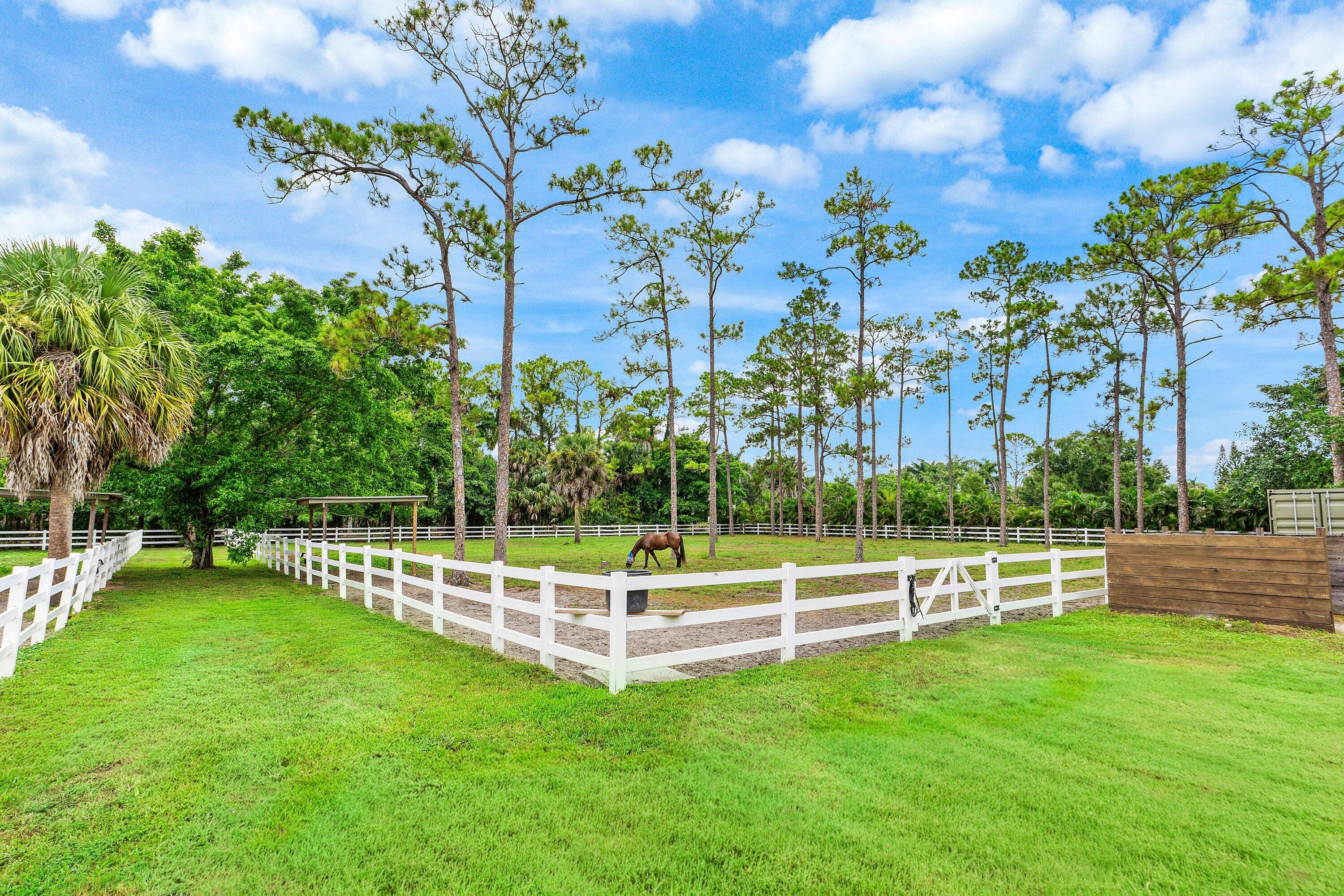 main property photo 53