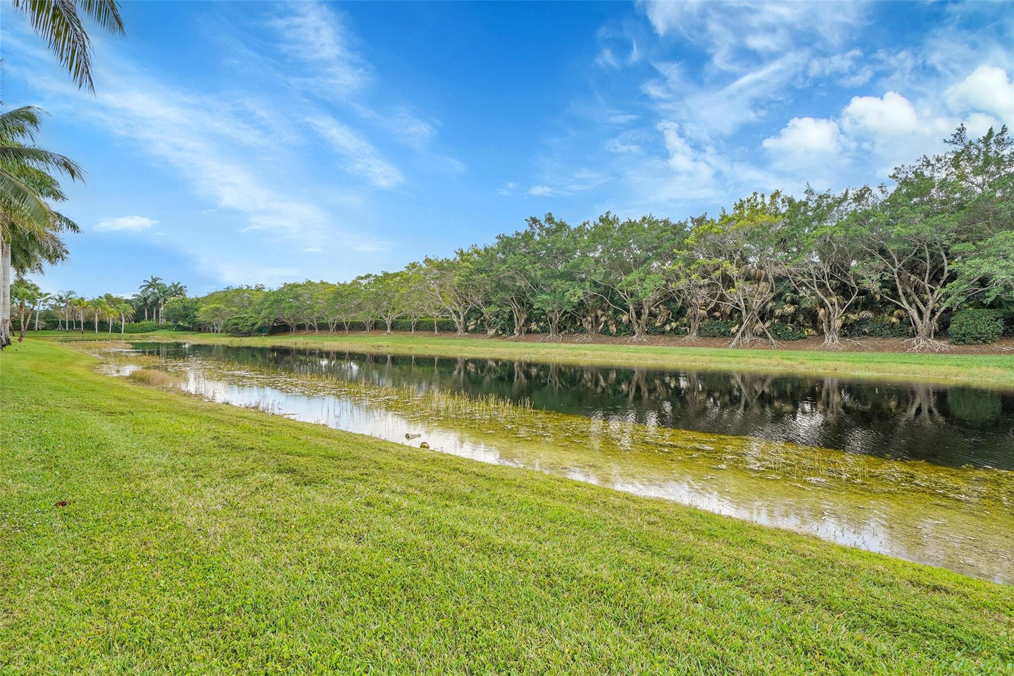 main property photo 94