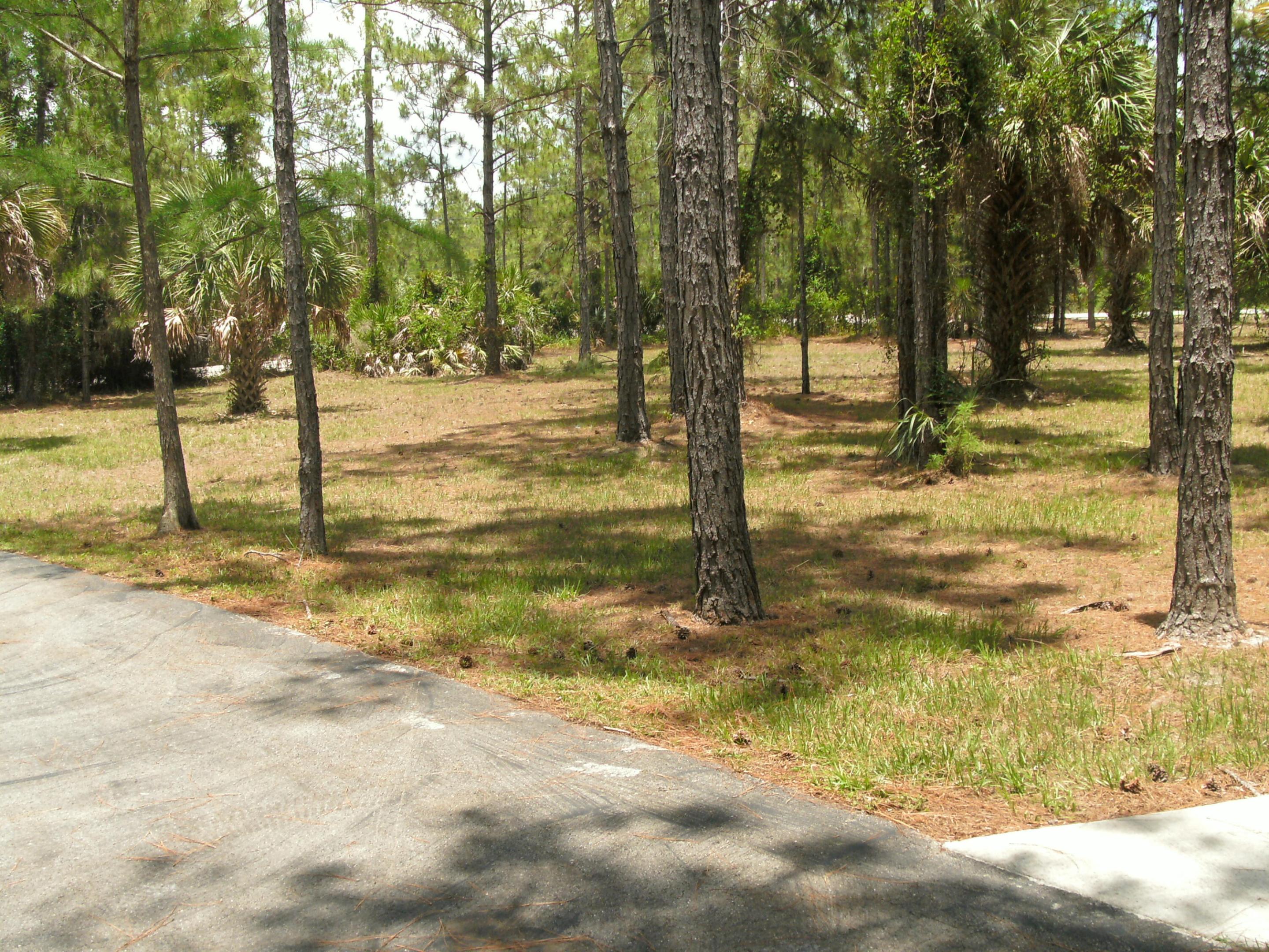 main property photo 15
