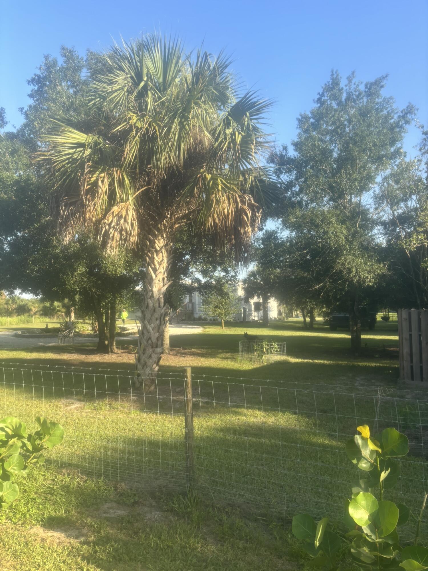 main property photo 50