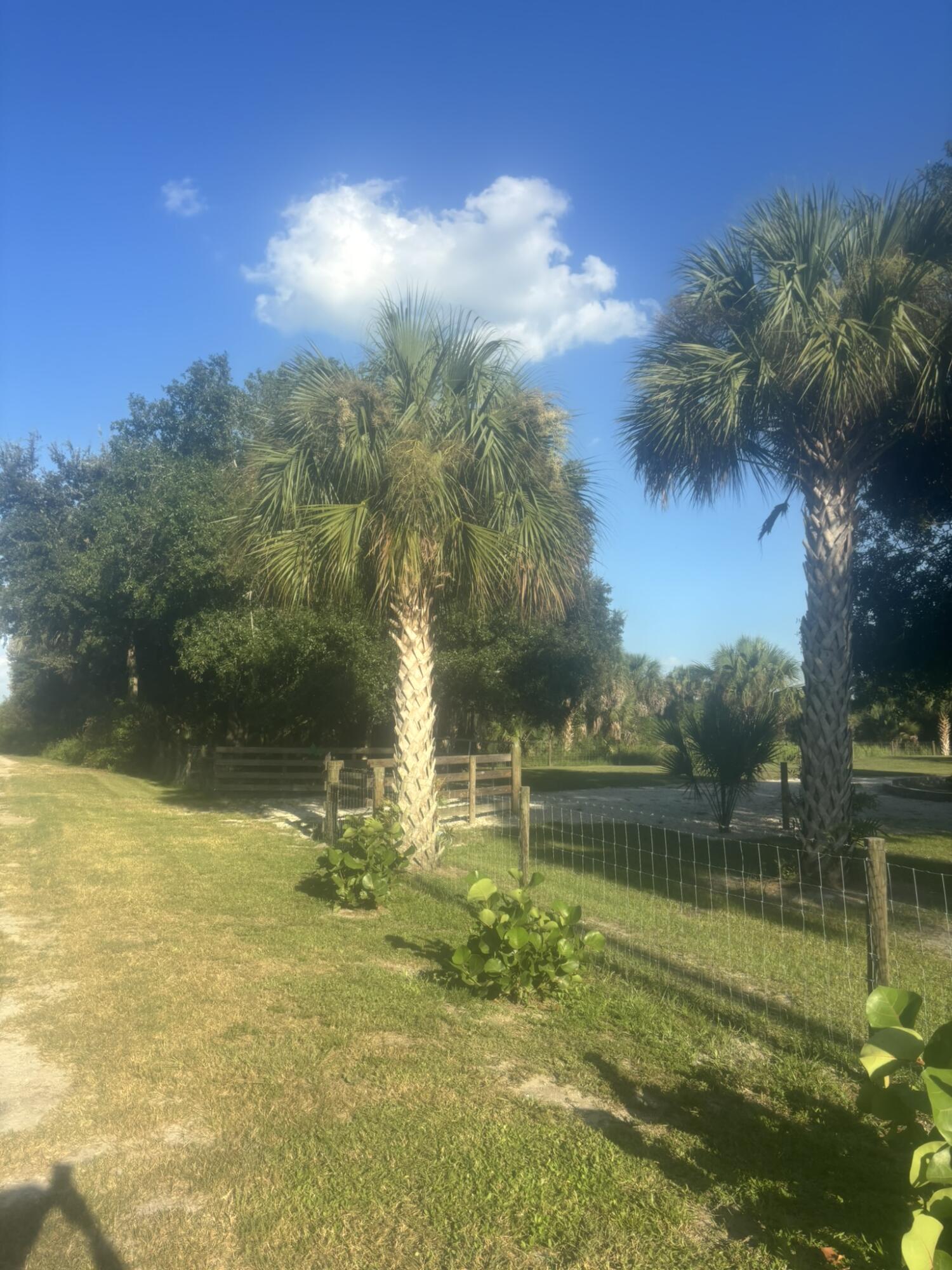 main property photo 55