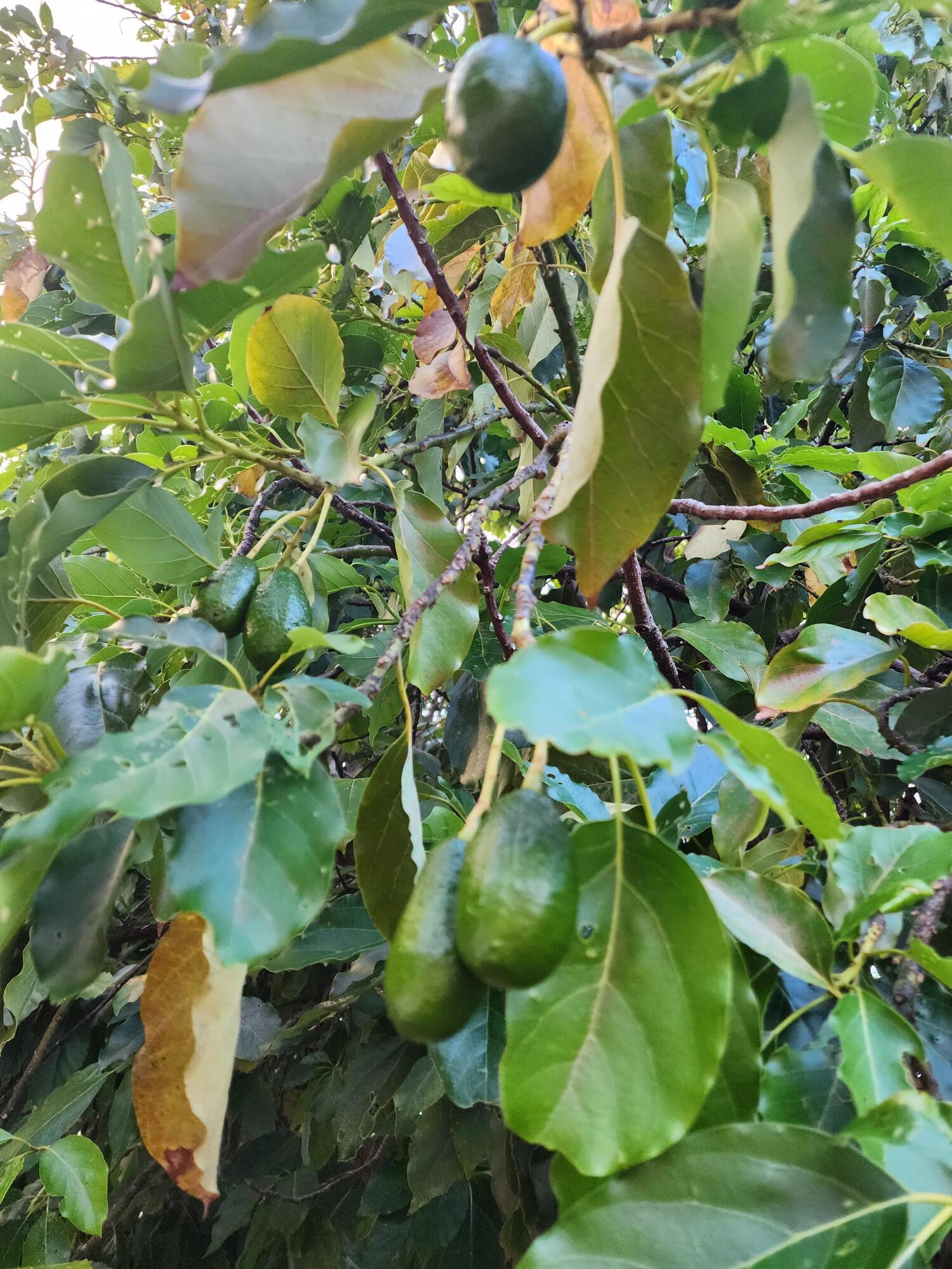 main property photo 32