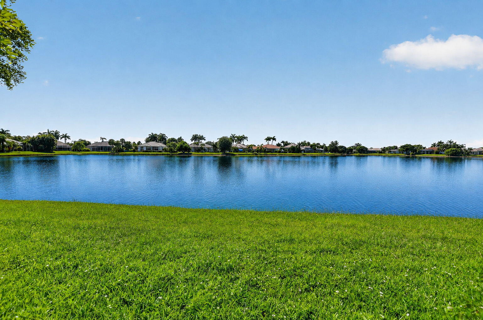 main property photo 90