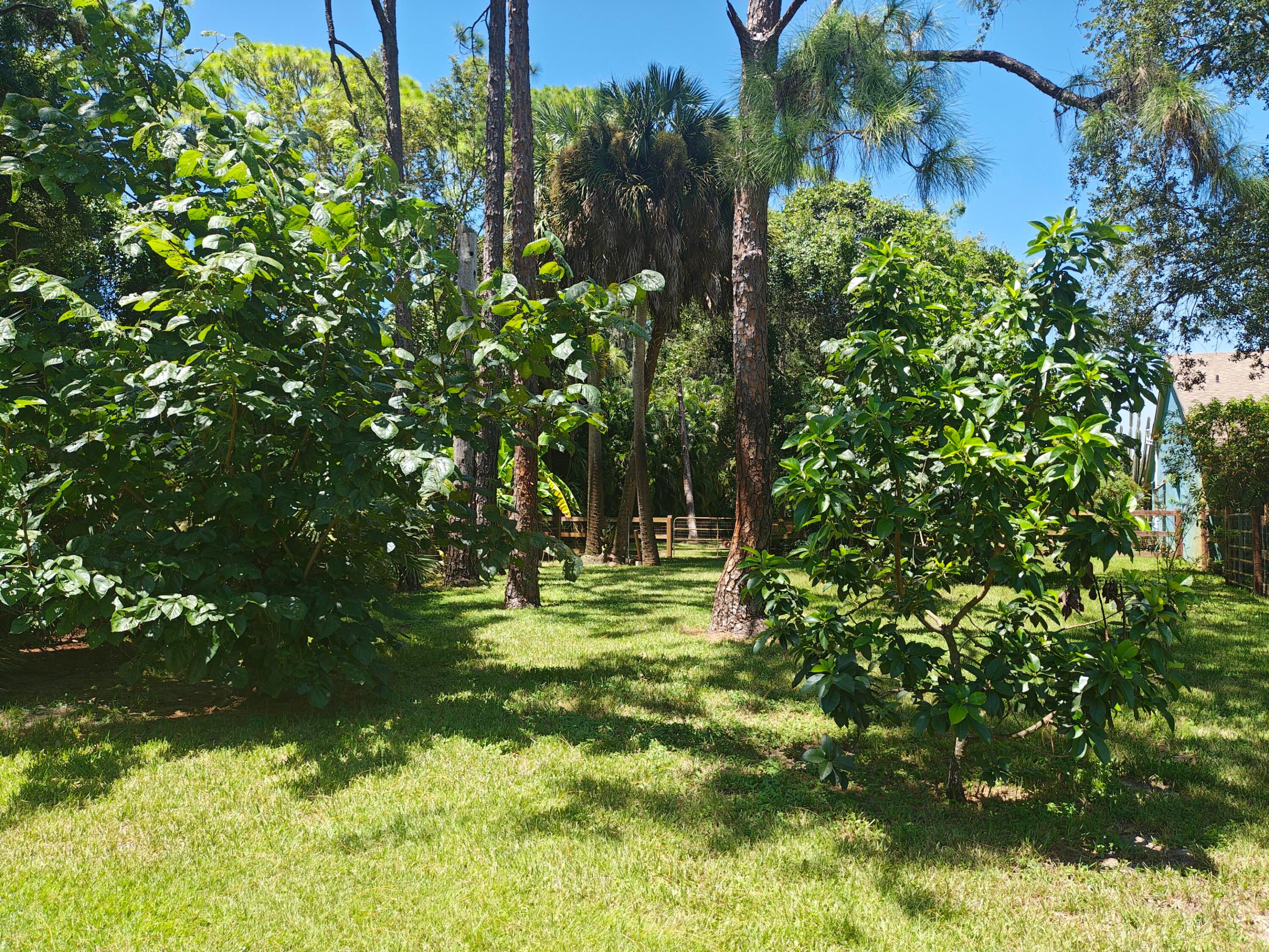 main property photo 33